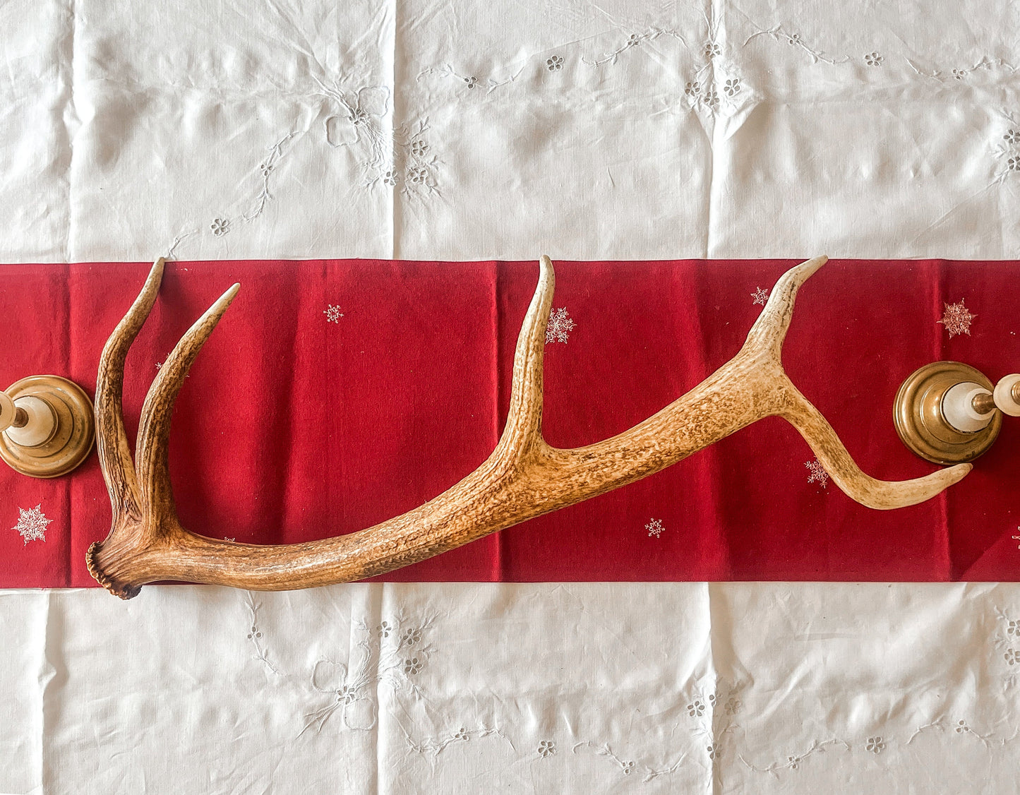 Elk Antler. Wild Canadian Bull Elk Antler. Crafting & Home Decor