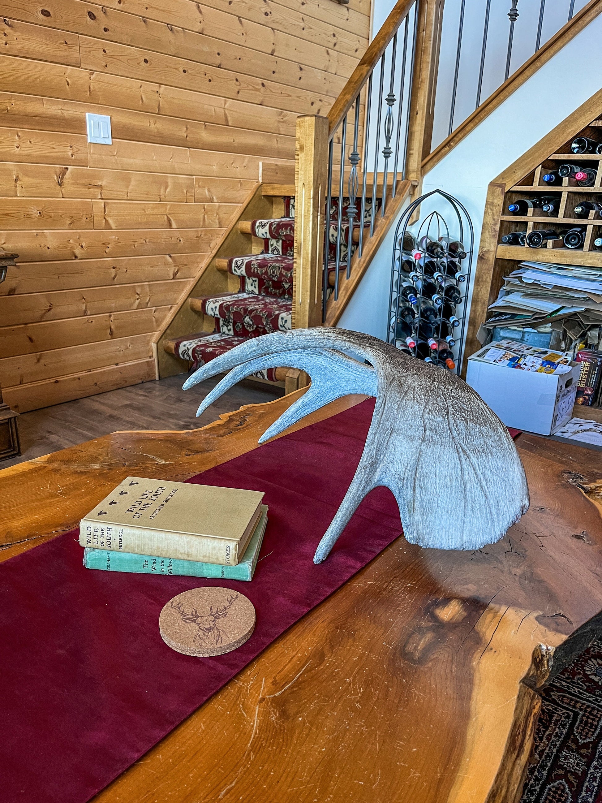 Bull Moose Antler. Crafting. Decor. Centrepiece. Shelftop. Farmhouse.