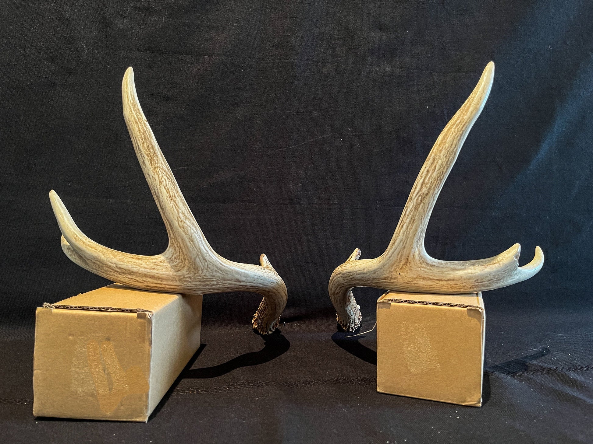 Whitetail Deer Antlers. Matching Brown Set. Decor, design, crafting and more!