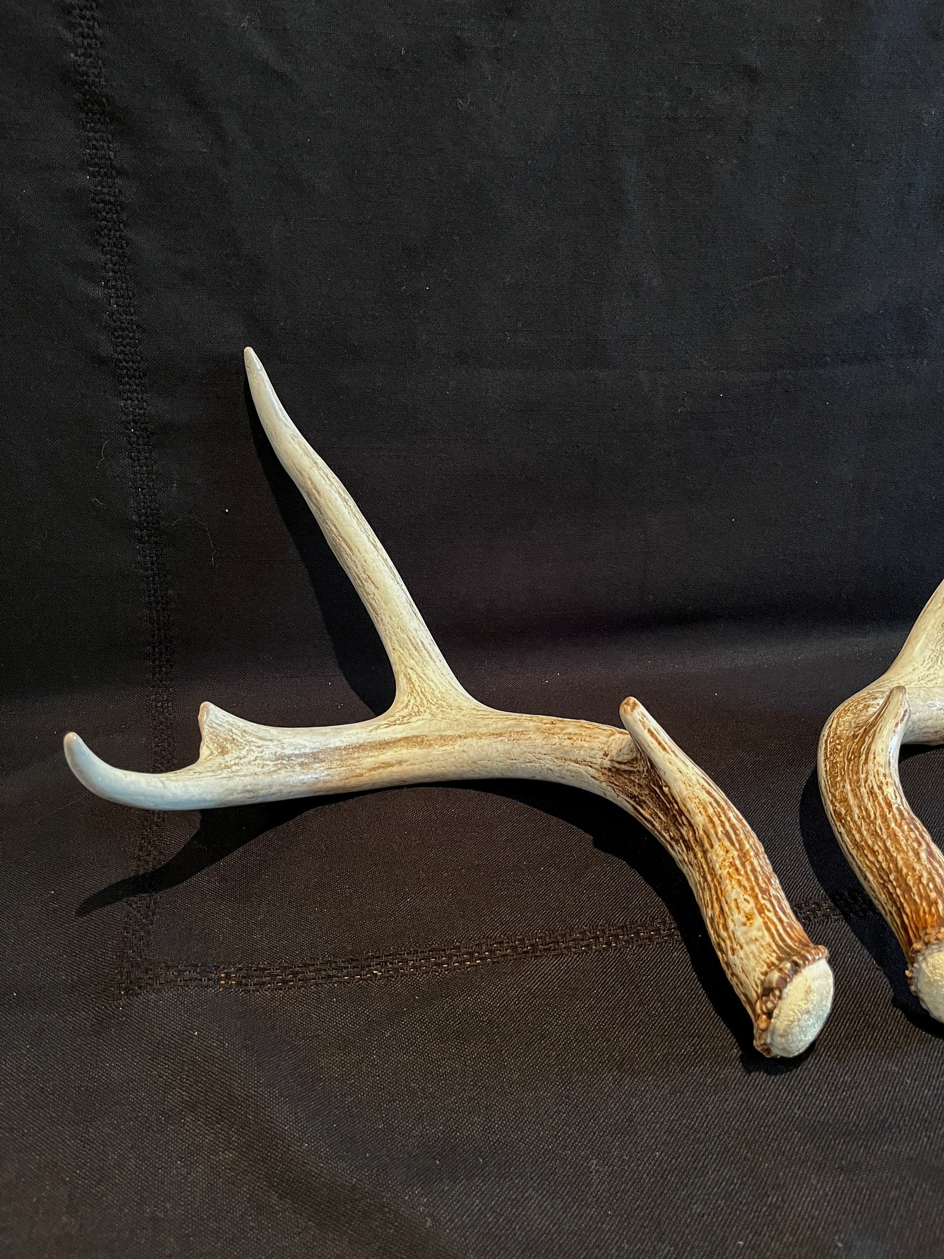 Whitetail Deer Antlers. Matching Brown Set. Decor, design, crafting and more!