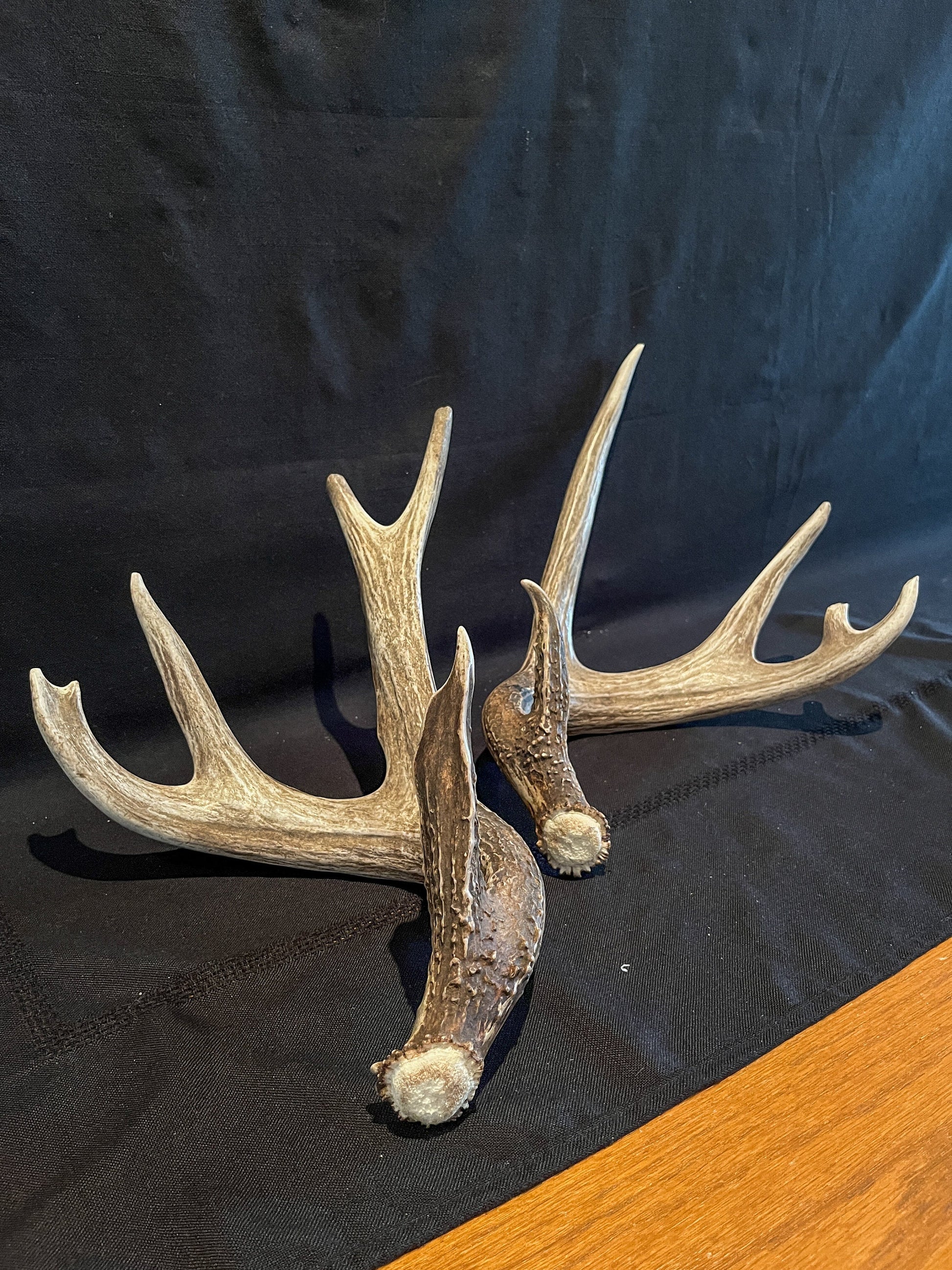 Deer Antlers - Whitetailed deer matching set. Wild Canadian Whitetail Buck Antlers.