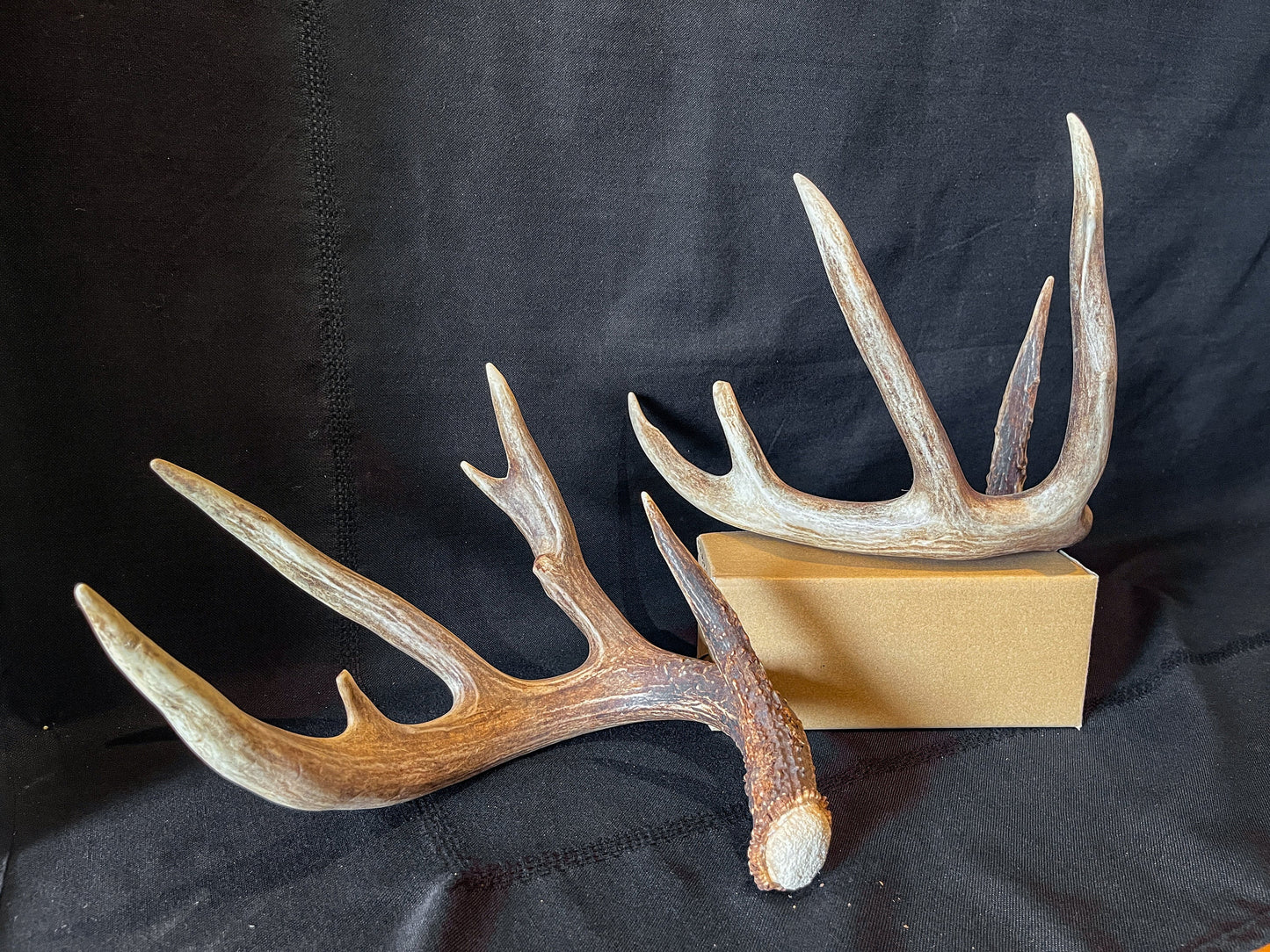 Set of Large Canadian Whitetail Deer Antlers. Gorgreous 6x6 Point Antler Set.