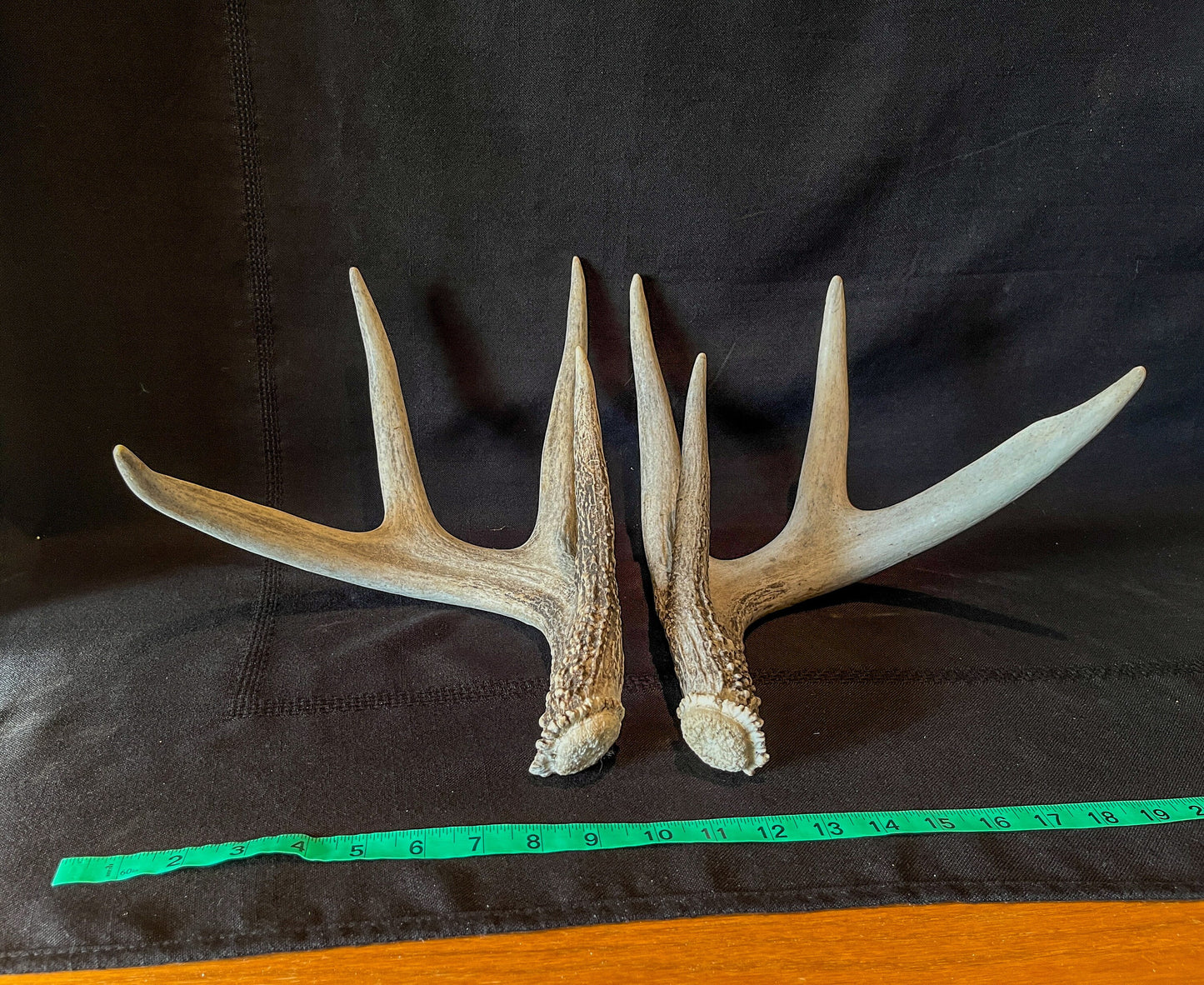 Deer Antlers - Matched shed antler set from the same Whitetail deer. Crafting. Farmhouse, Rustic Decor.