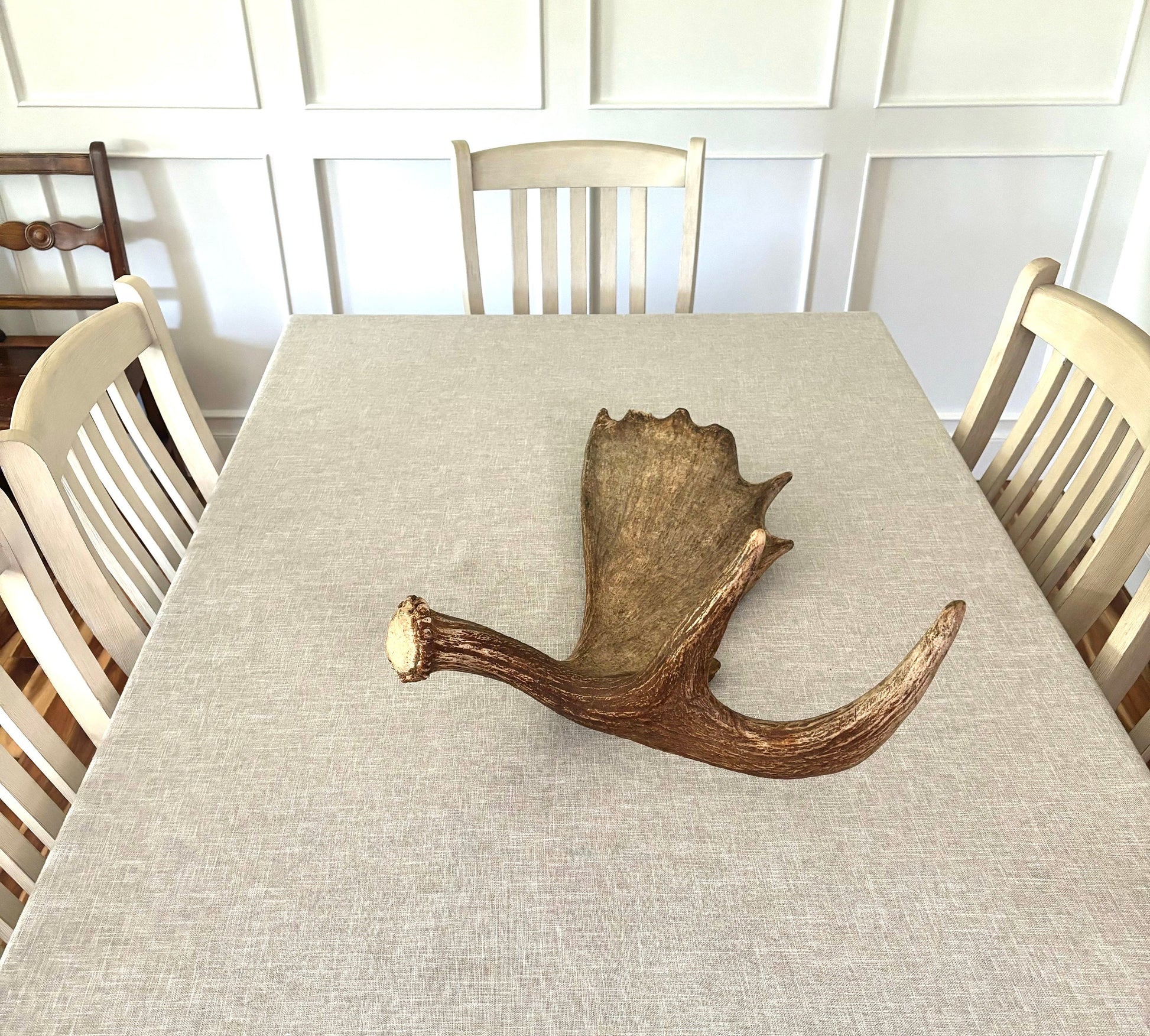 Moose Antler. Beautiful Moose Antler. Fresh, high quality antler for crafting, decor and more.