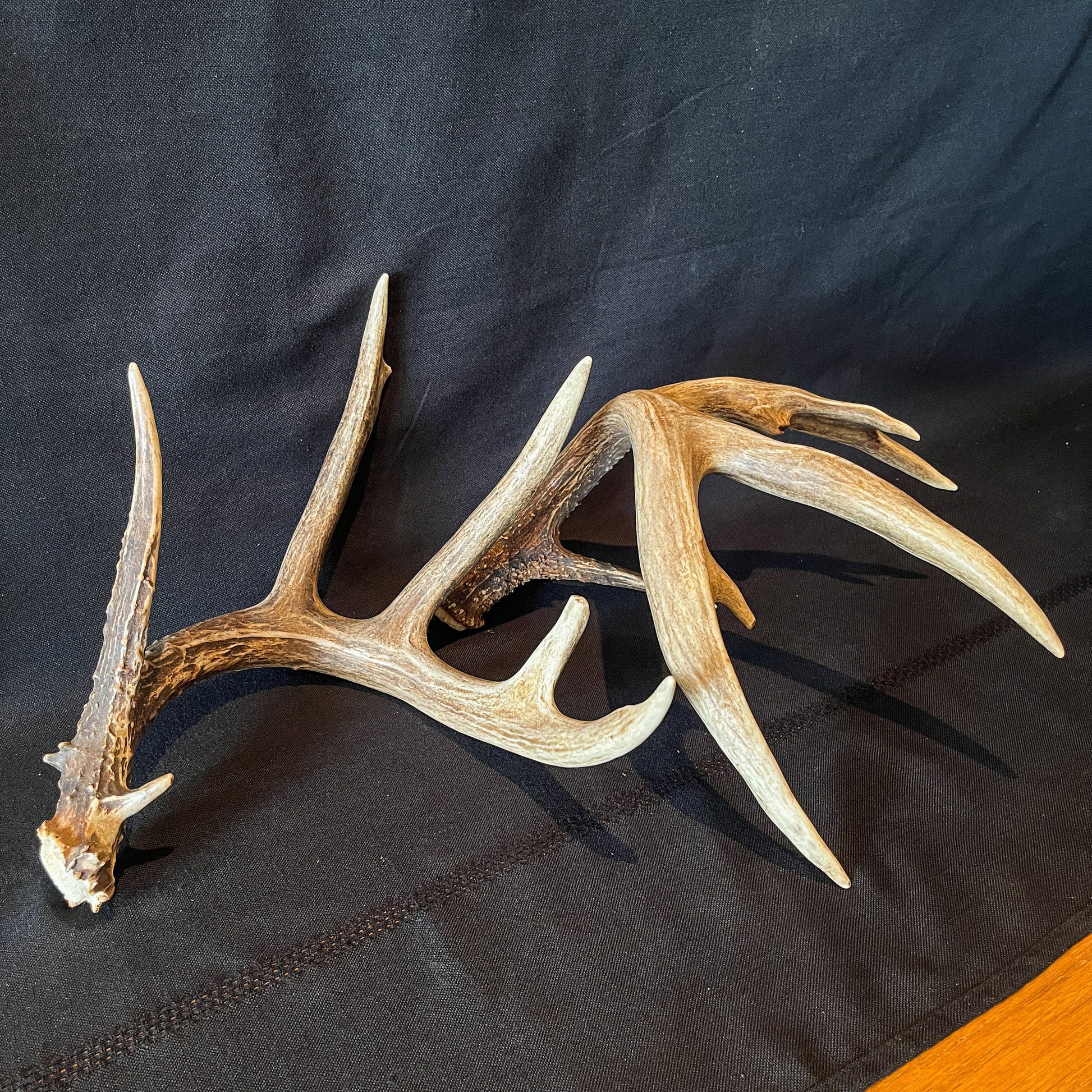 Set of Large Canadian Whitetail Deer Antlers. Gorgreous 6x6 Point Antler Set.