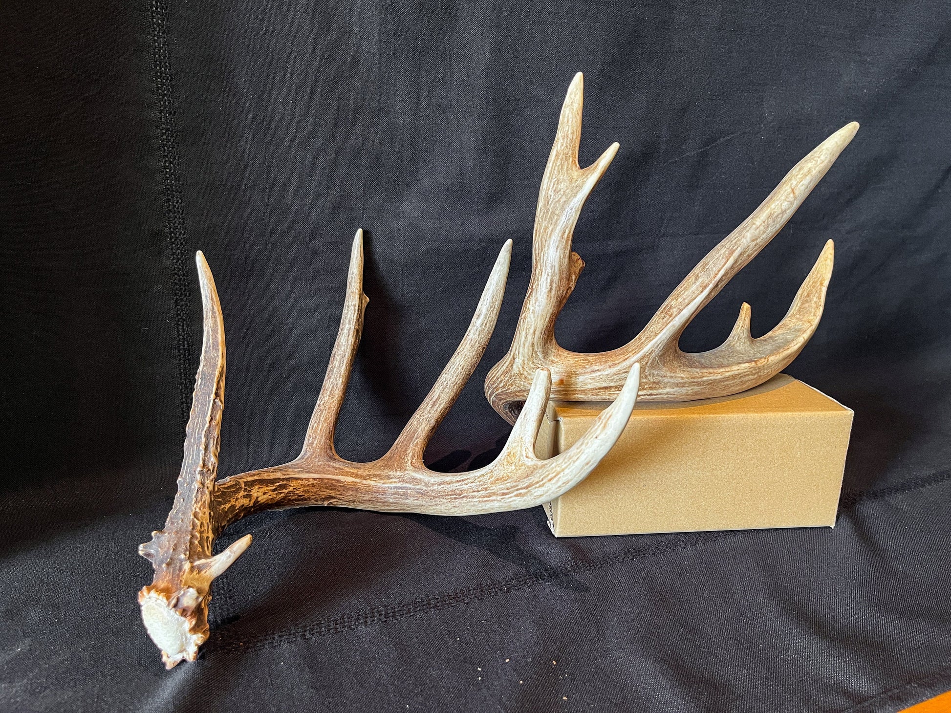 Set of Large Canadian Whitetail Deer Antlers. Gorgreous 6x6 Point Antler Set.