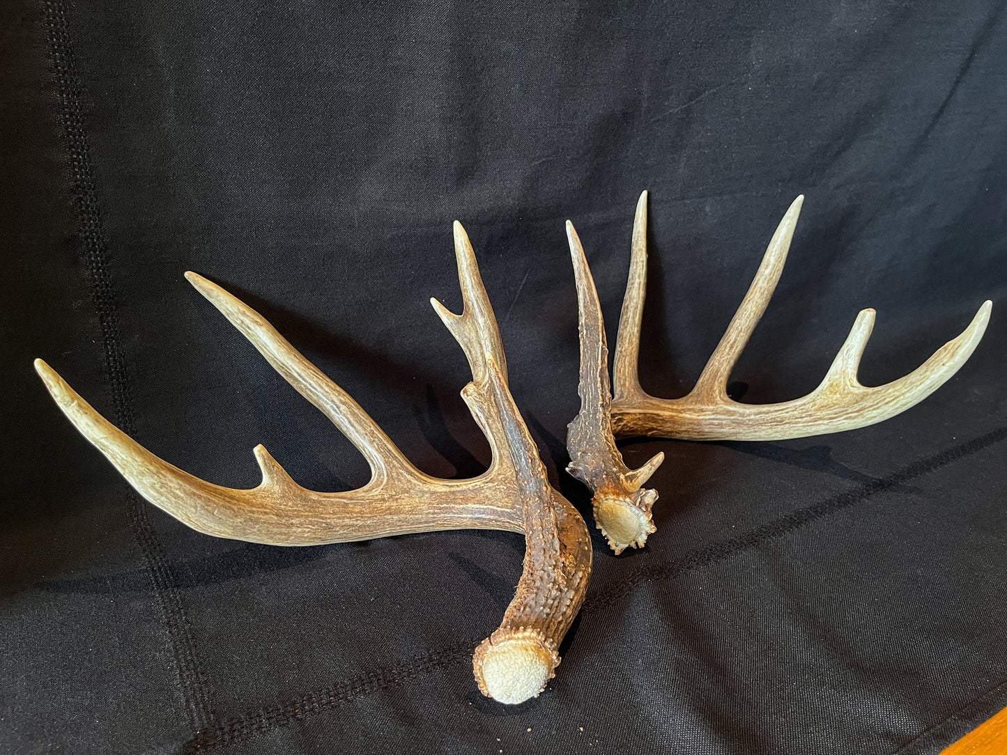 Set of Large Canadian Whitetail Deer Antlers. Gorgreous 6x6 Point Antler Set.