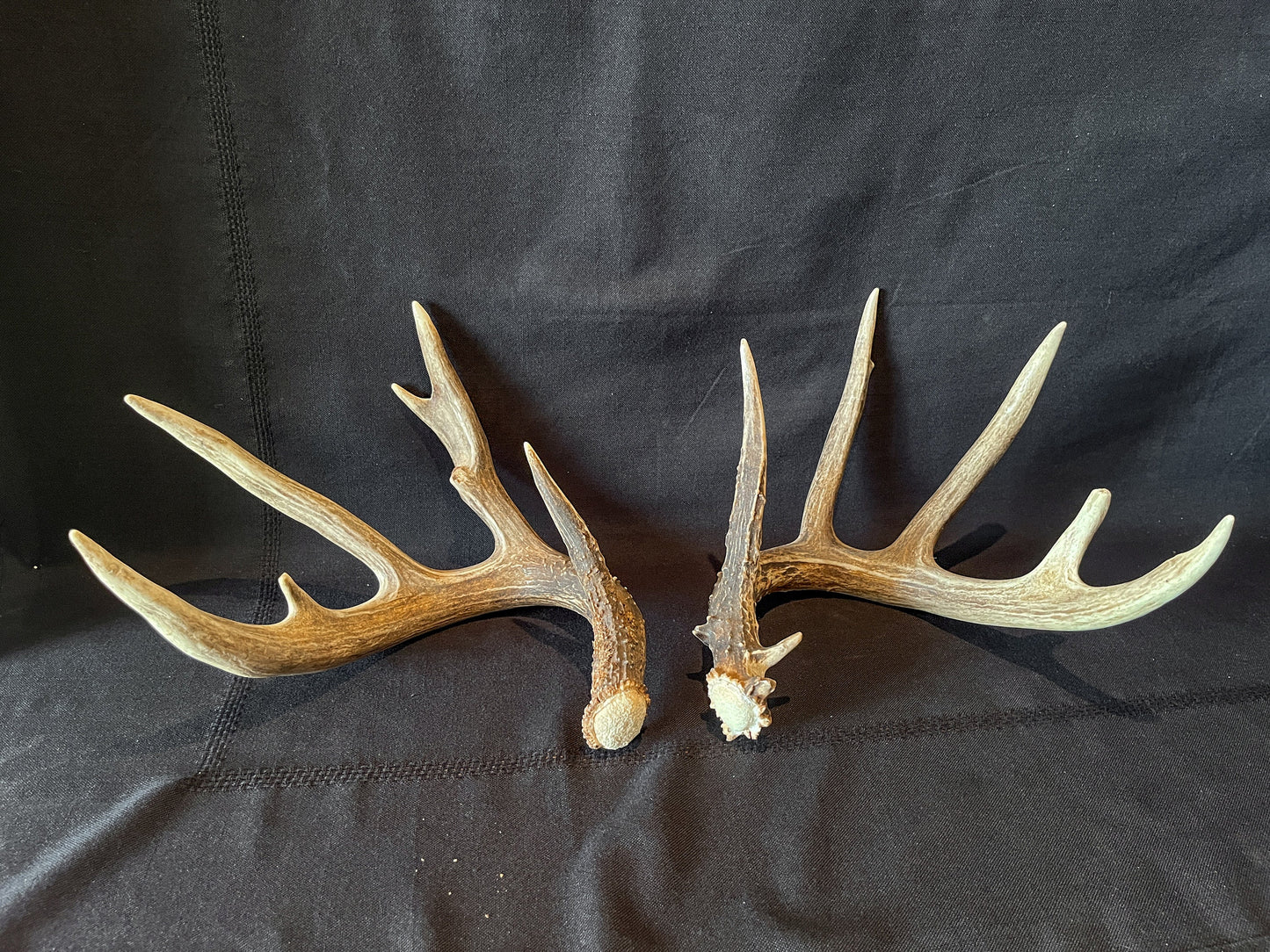 Set of Large Canadian Whitetail Deer Antlers. Gorgreous 6x6 Point Antler Set.