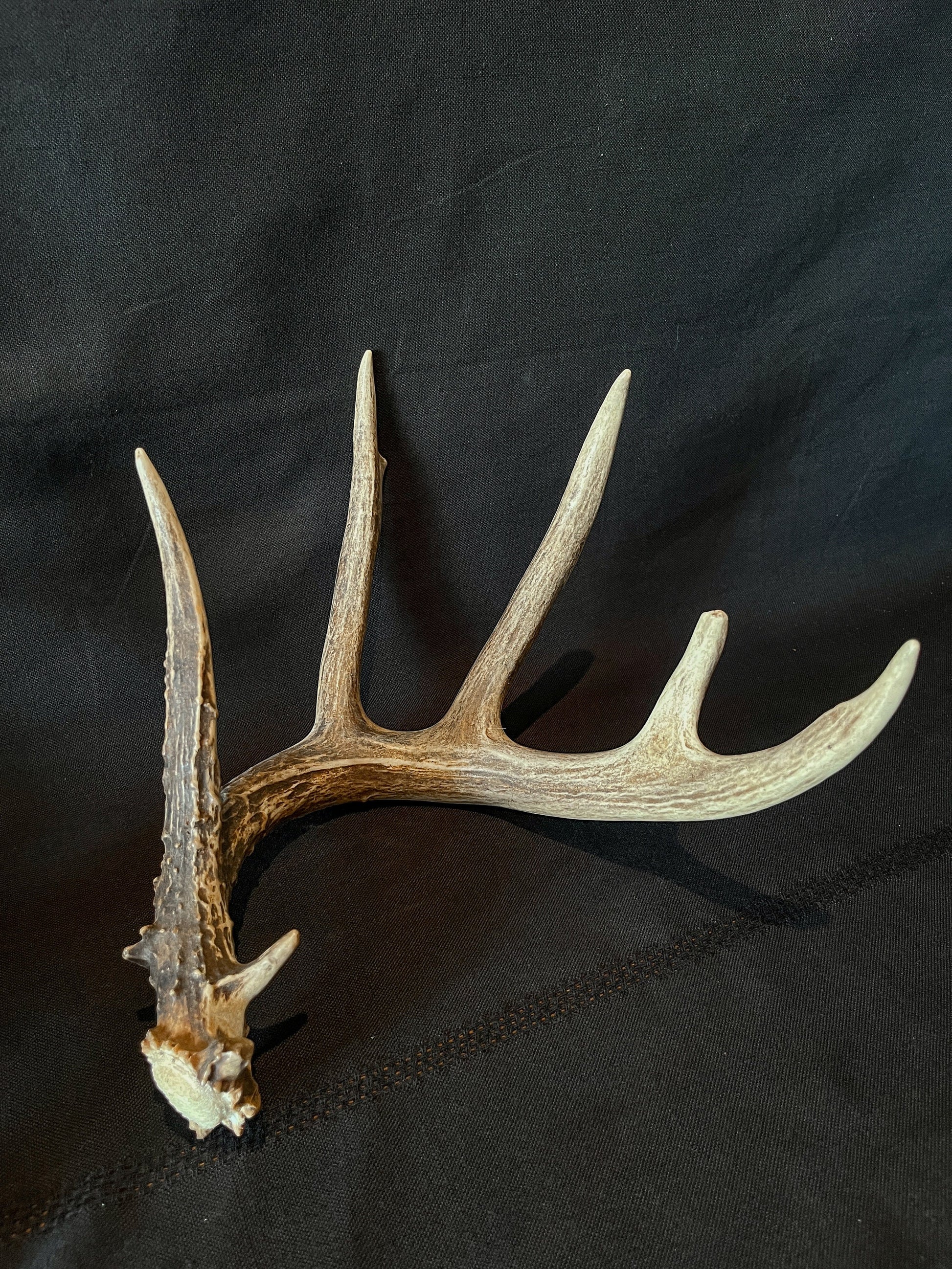 Set of Large Canadian Whitetail Deer Antlers. Gorgreous 6x6 Point Antler Set.