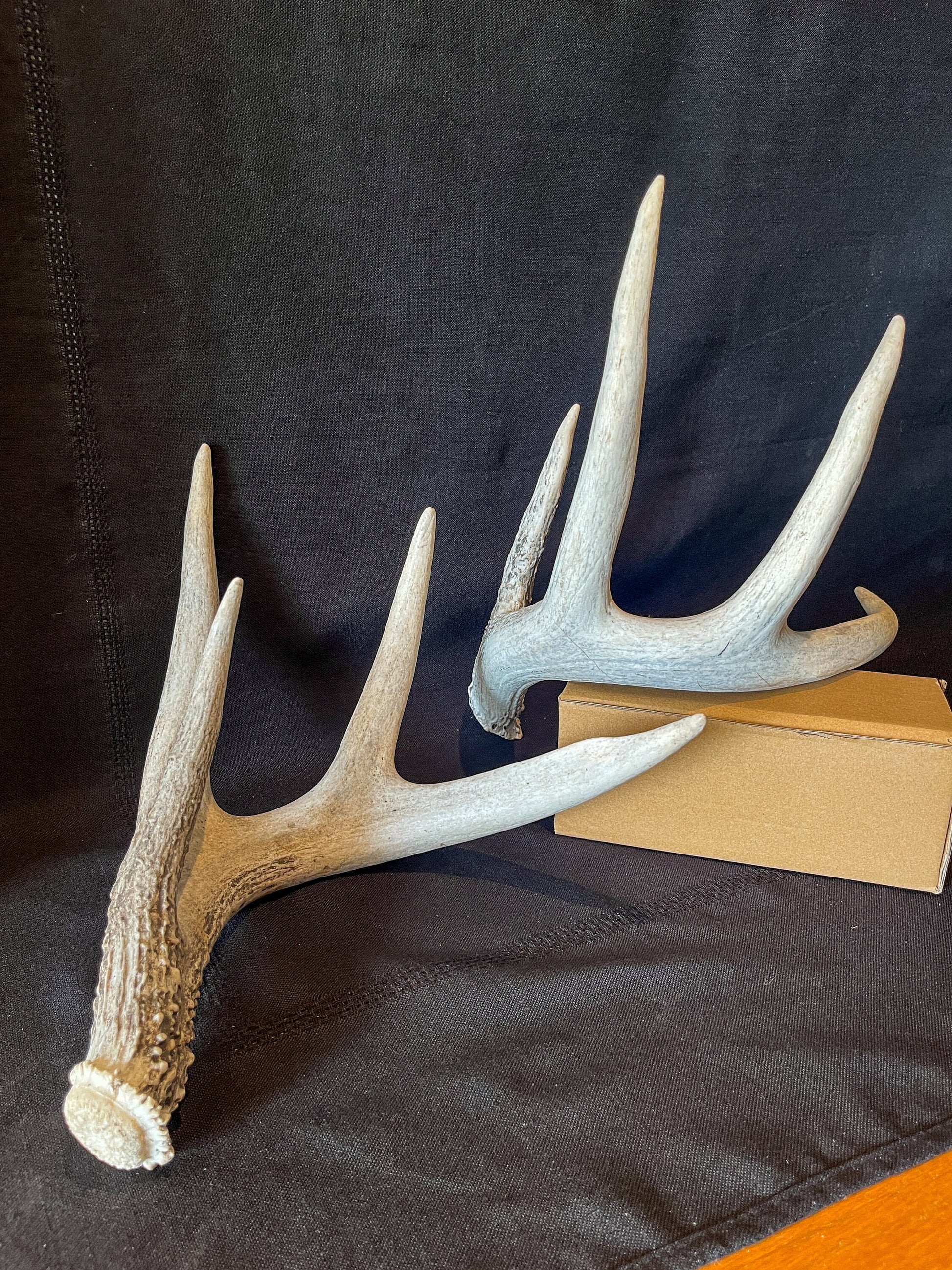 Deer Antlers - Matched shed antler set from the same Whitetail deer. Crafting. Farmhouse, Rustic Decor.