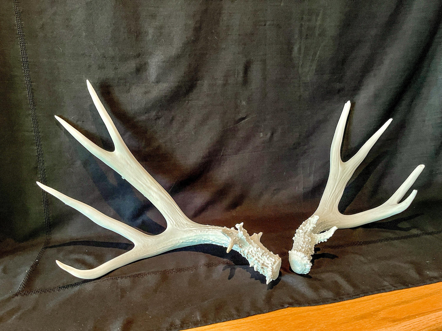 Mule deer antler pair. Classic Canadian Mule Deer Antlers. Horns, Crafting. Decor