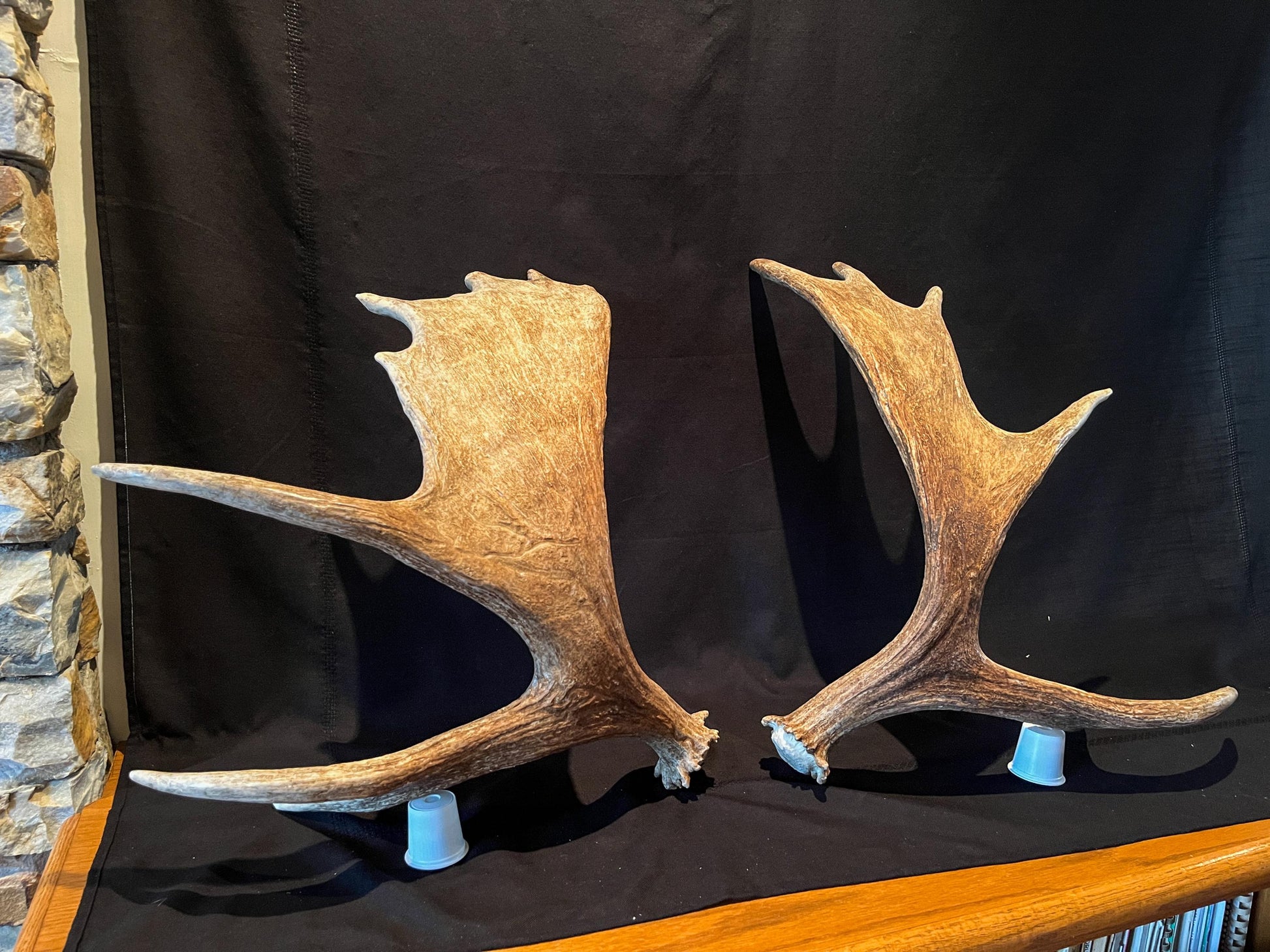 Moose Antlers. Matching Canadian Bull Moose Antler Set. Decor. Wall Decor. Centrepiece.