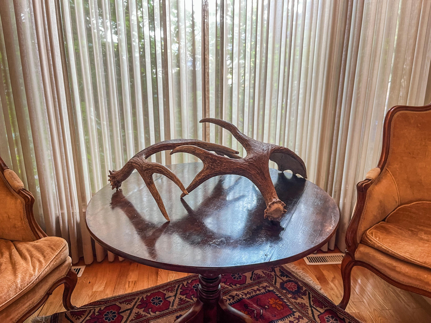 Moose Antlers. Matching Canadian Bull Moose Antler Set. Decor. Wall Decor. Centrepiece.