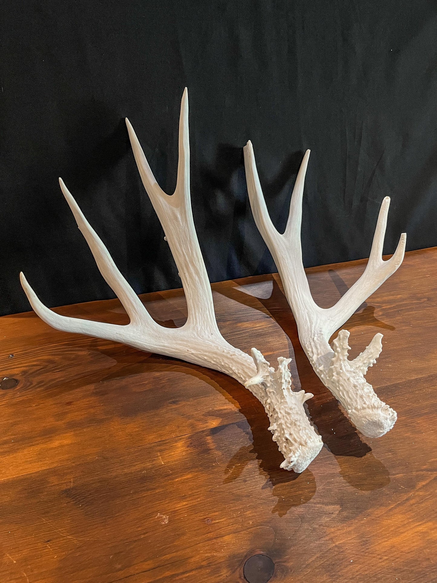 Mule deer antler pair. Classic Canadian Mule Deer Antlers. Horns, Crafting. Decor