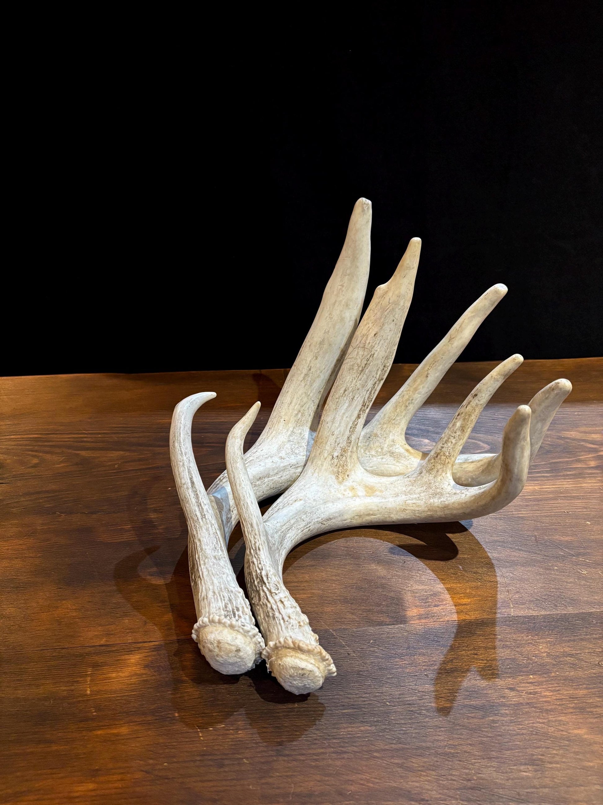 4 Deer Antlers - 2 Matched Sets From the Same Deer. Insane Mass. Super Heavy Whitetailed deer