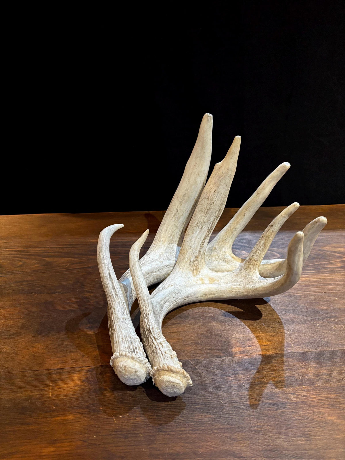 4 Deer Antlers - 2 Matched Sets From the Same Deer. Insane Mass. Super Heavy Whitetailed deer