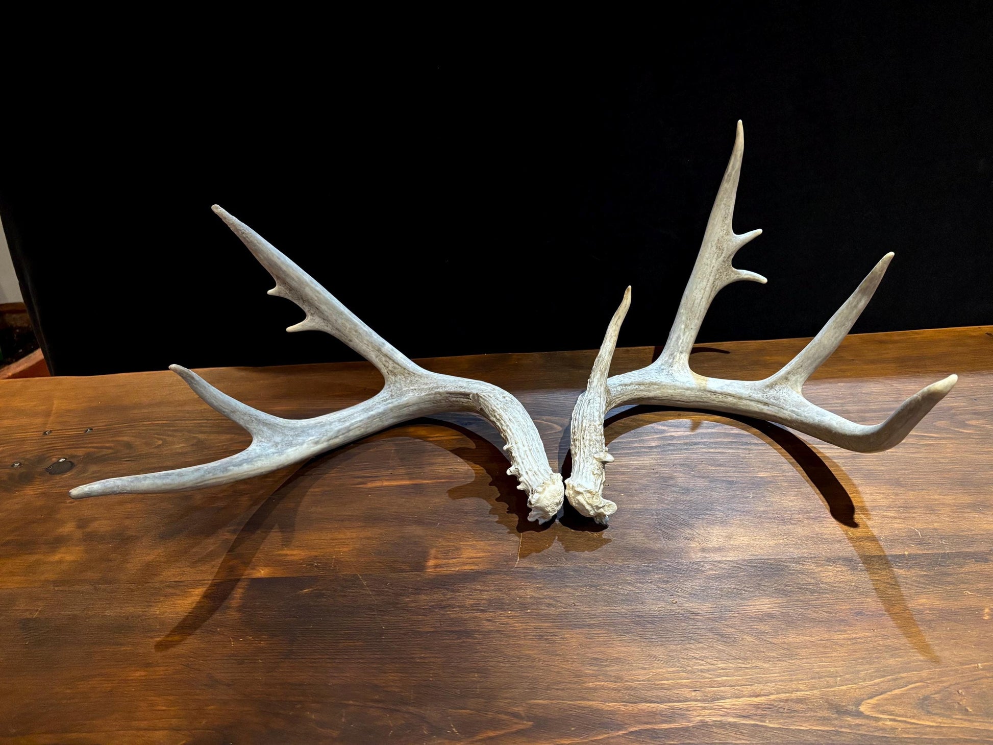 4 Deer Antlers - 2 Matched Sets From the Same Deer. Huge Whitetailed deer