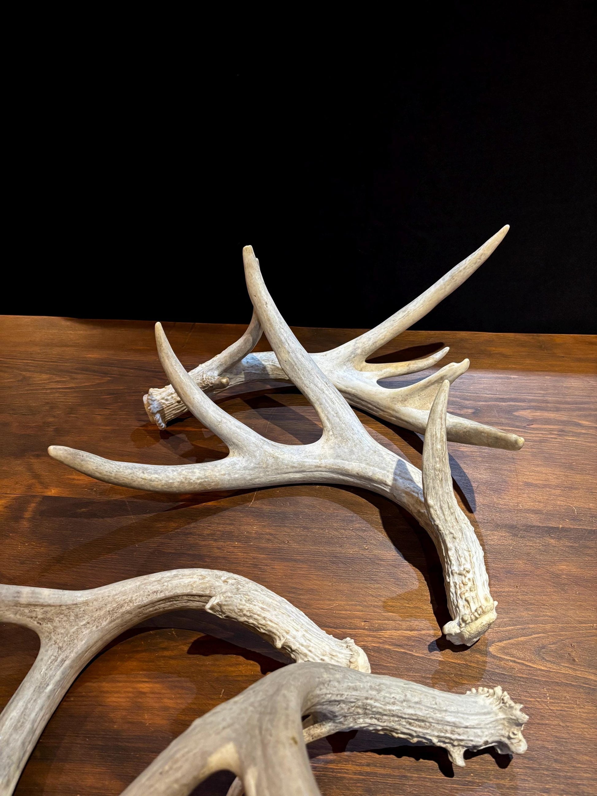 4 Deer Antlers - 2 Matched Sets From the Same Deer. Huge Whitetailed deer