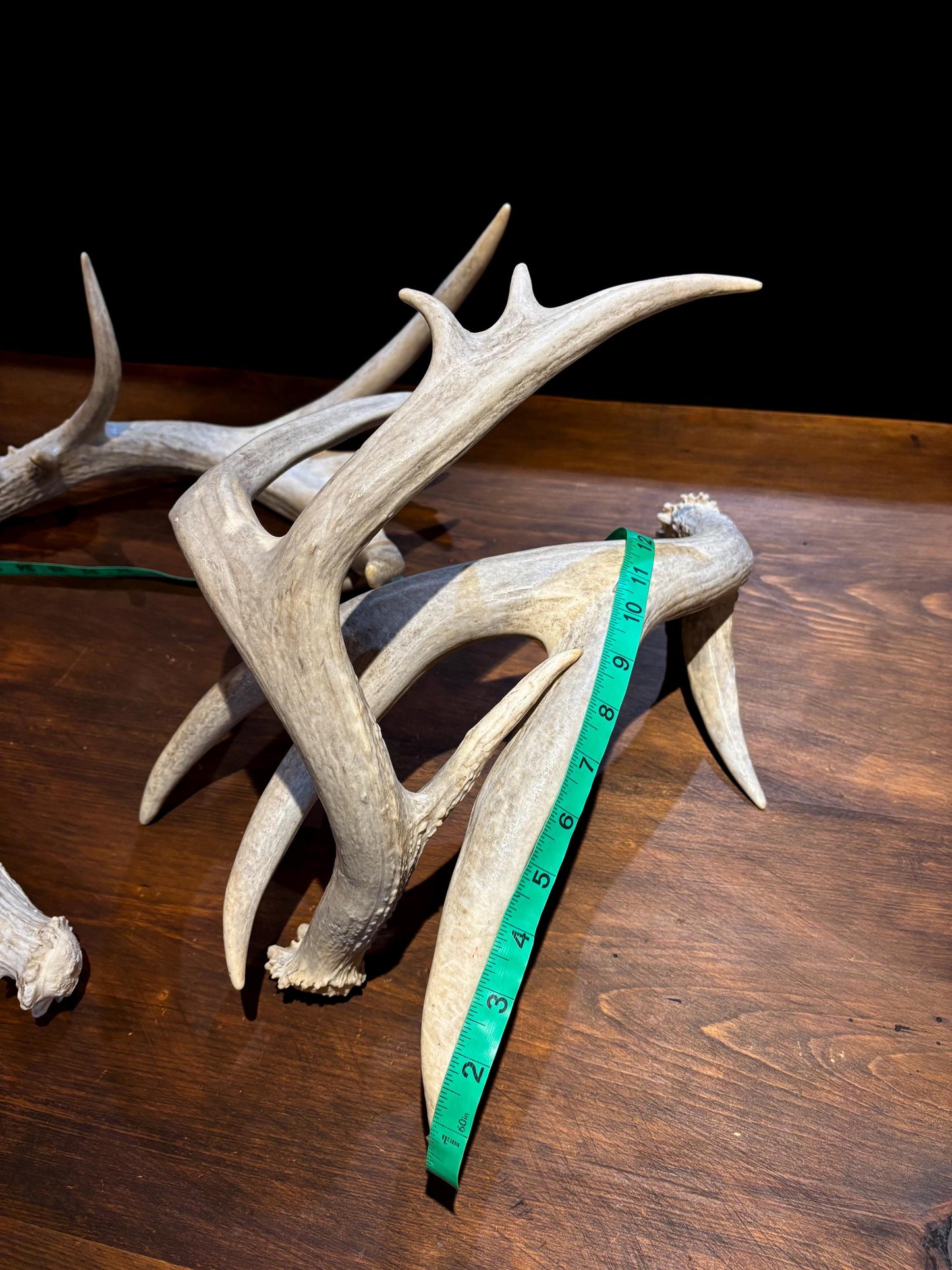 4 Deer Antlers - 2 Matched Sets From the Same Deer. Huge Whitetailed deer