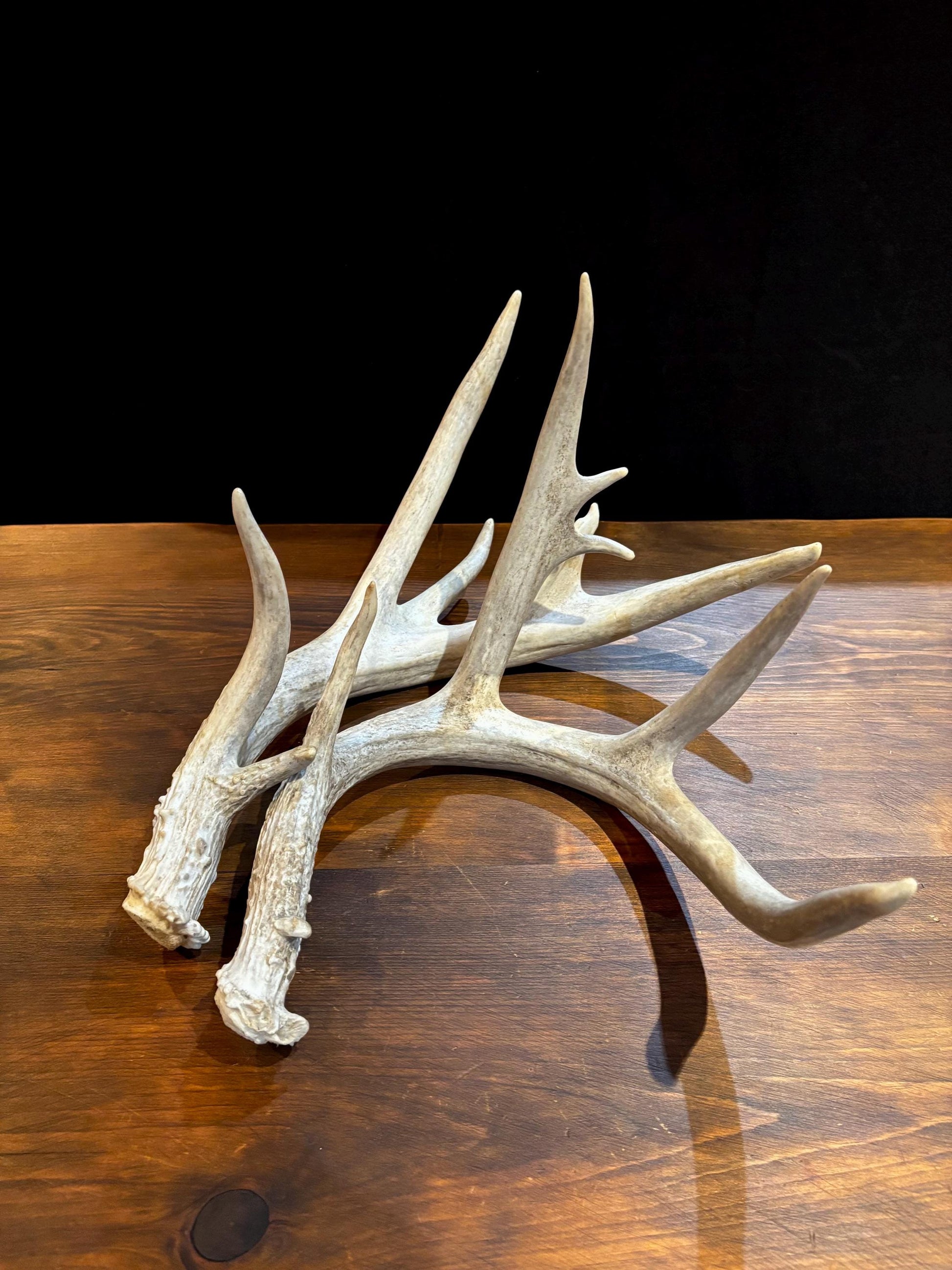4 Deer Antlers - 2 Matched Sets From the Same Deer. Huge Whitetailed deer