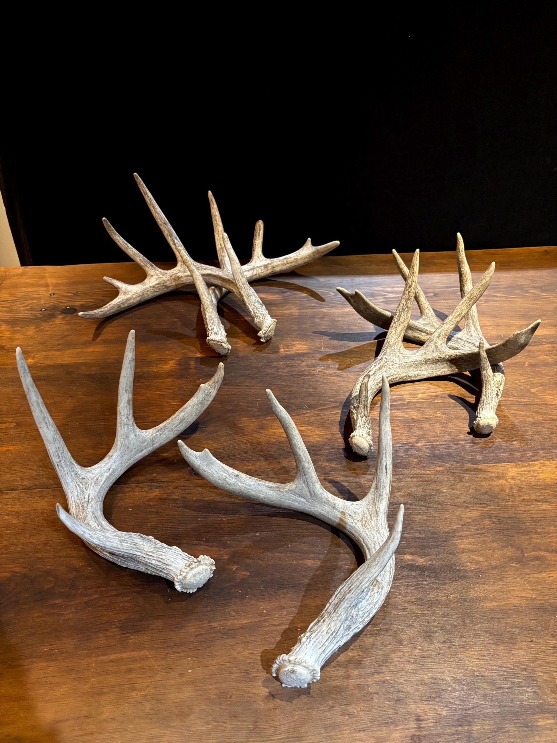 Natural Matched Pairs of White-tail Deer Antlers. Large or X-Large for Crafting, Decor and Much More. Highest Quality, Naturally Shed
