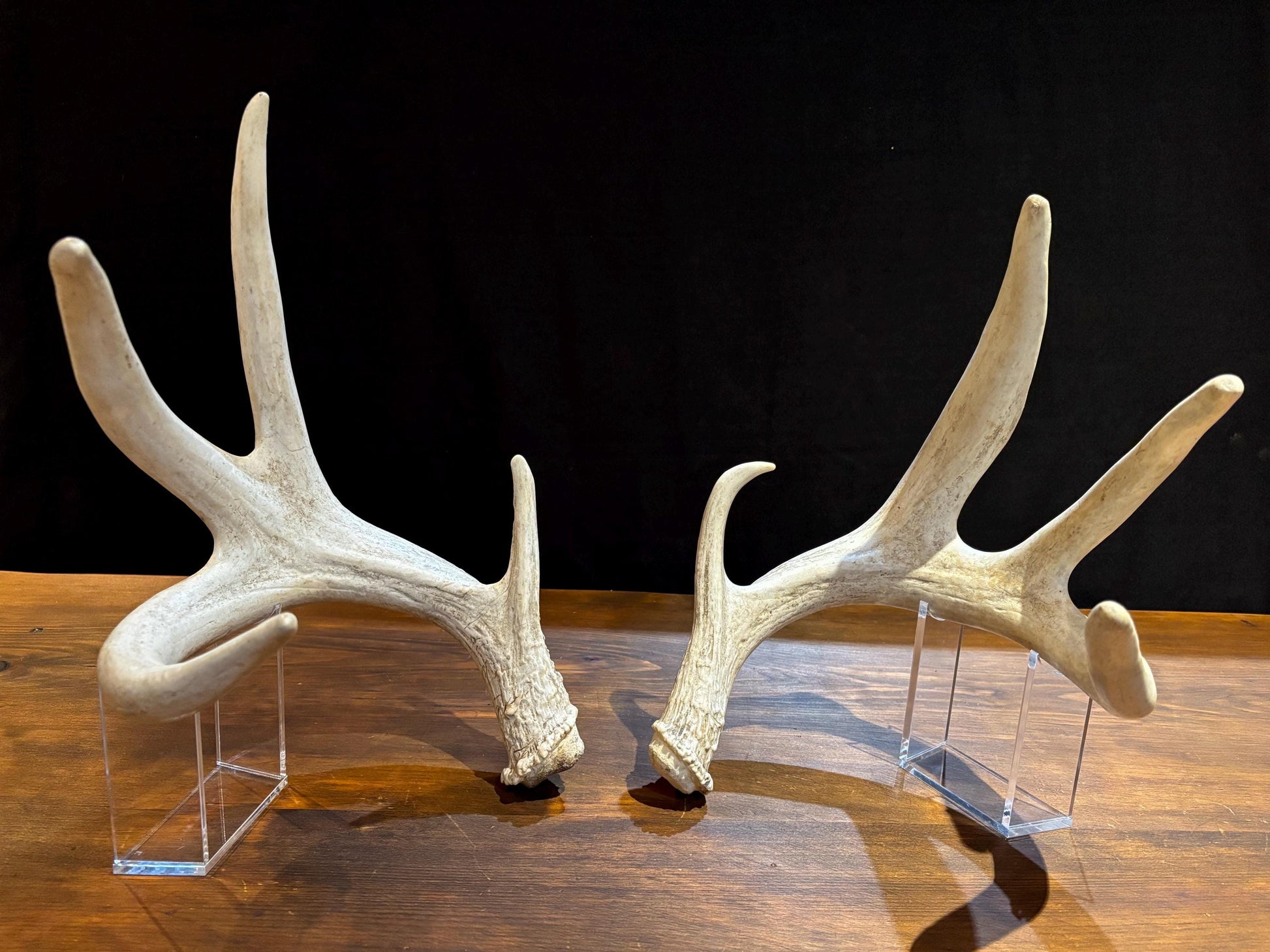 4 Deer Antlers - 2 Matched Sets From the Same Deer. Insane Mass. Super Heavy Whitetailed deer