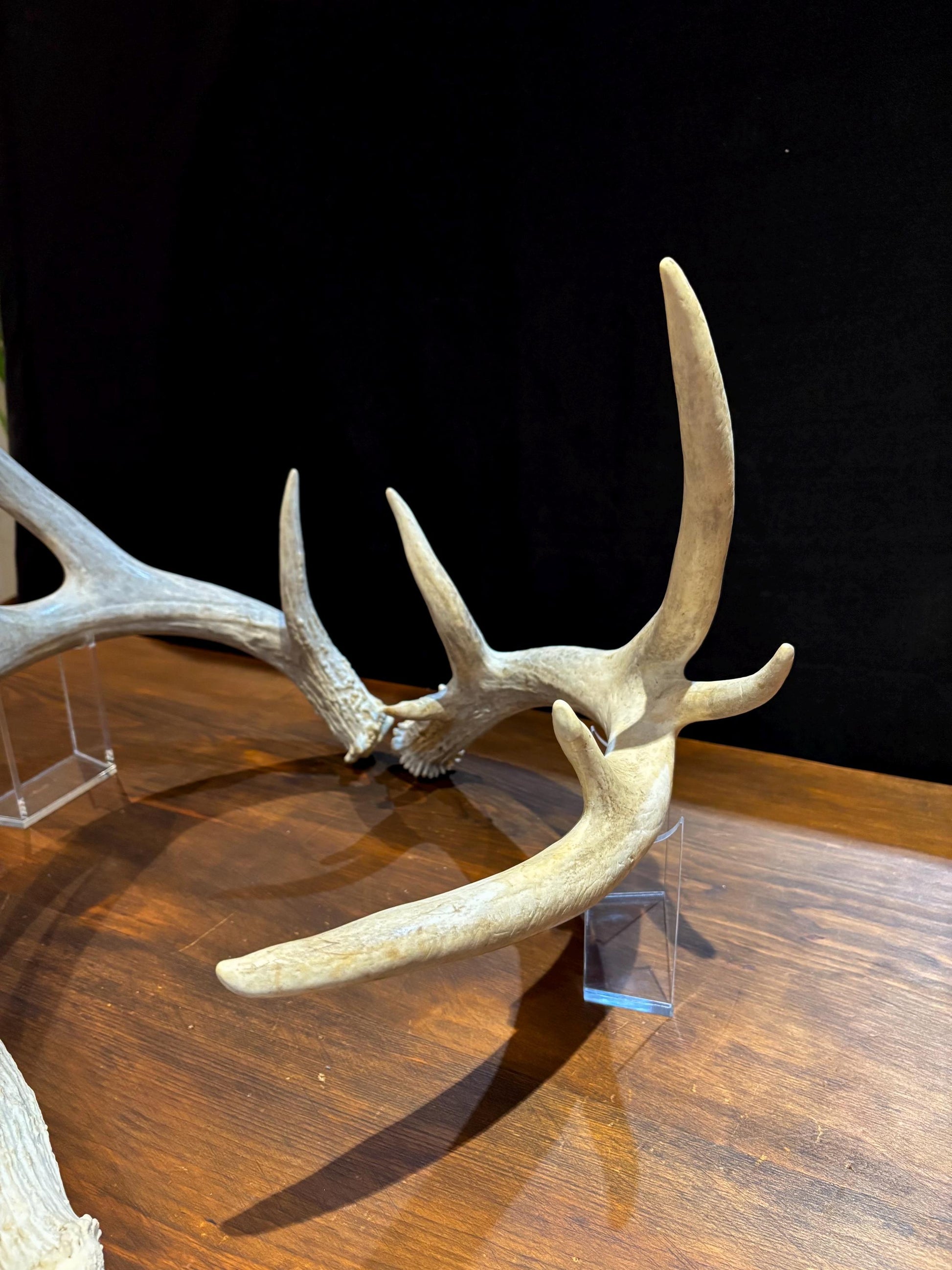 4 Deer Antlers - 2 Matched Sets From the Same Deer. Huge Whitetailed deer