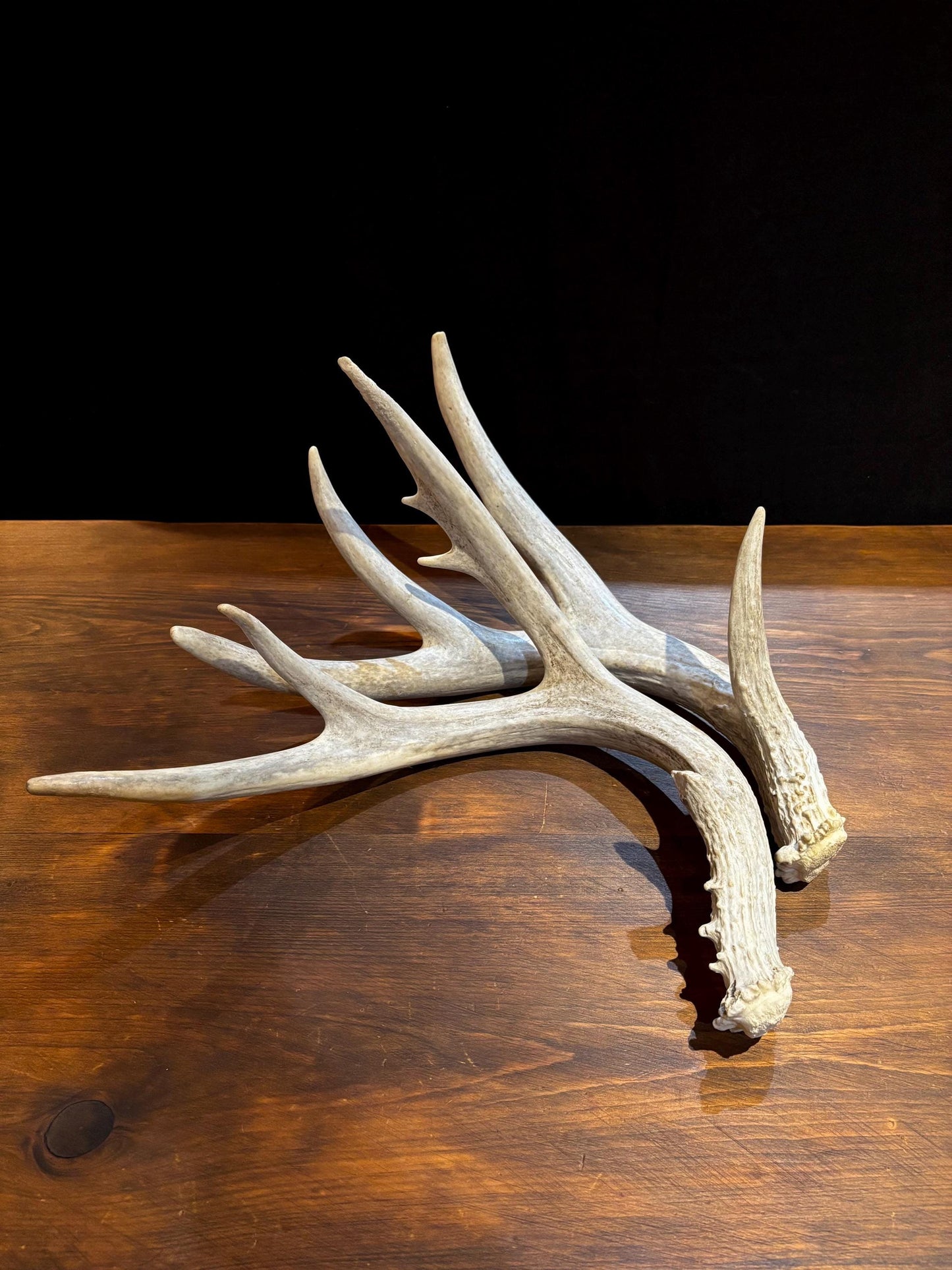 4 Deer Antlers - 2 Matched Sets From the Same Deer. Huge Whitetailed deer