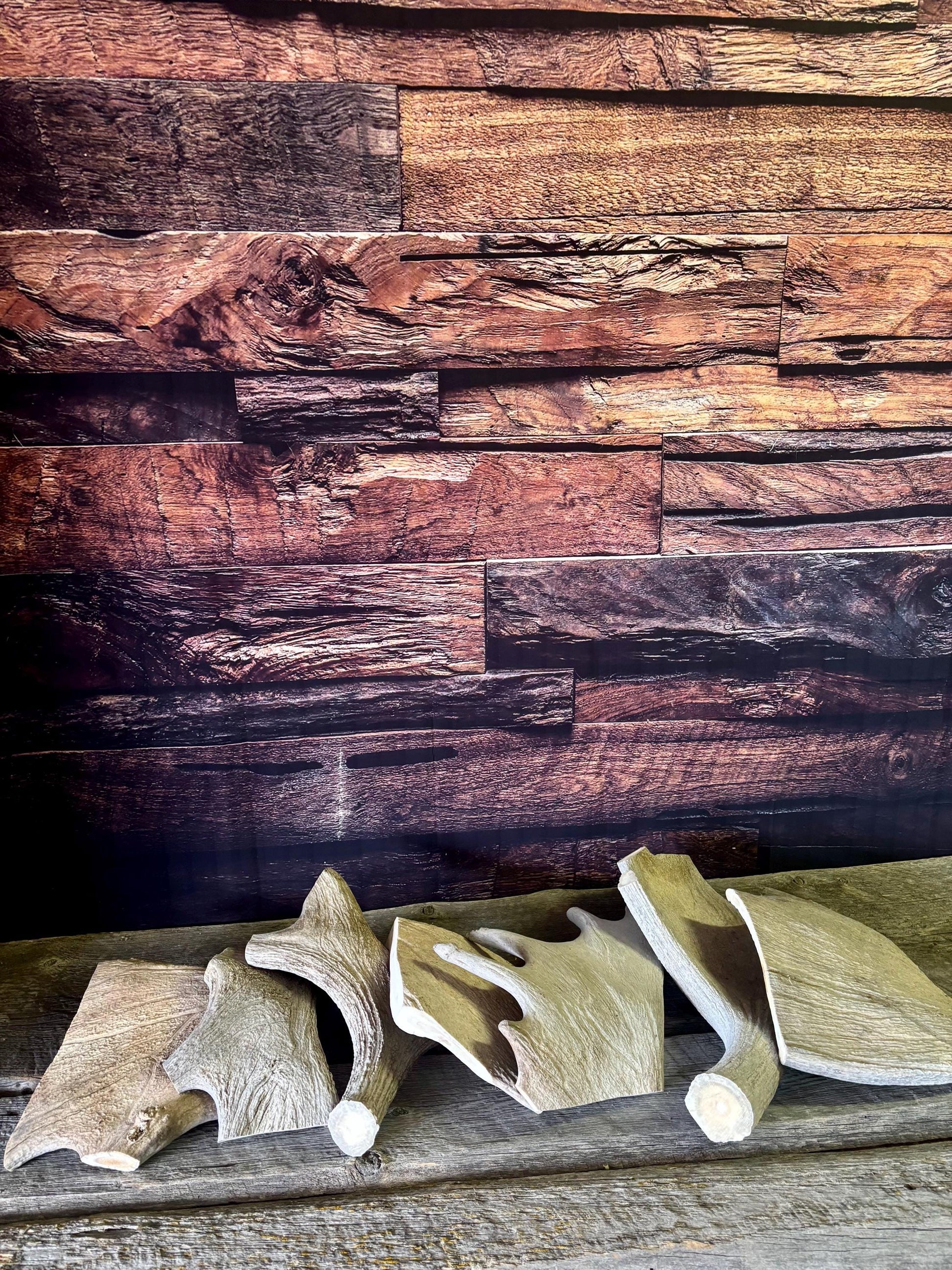 XXL Moose Antler dog treats - Grade B. 100% Sustainable, Naturally Shed.