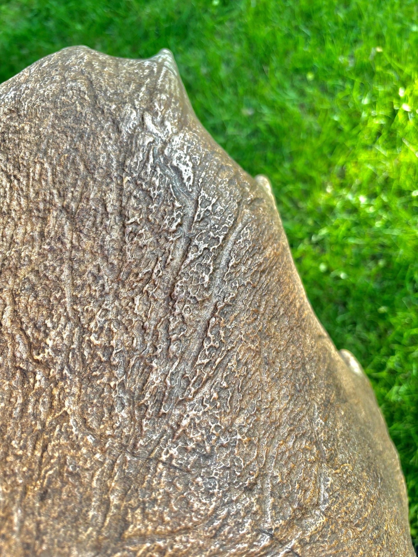 The Perfect Moose Antler Set. Classic, Heavily Palmated Moose Antlers - for Crafting, Decor and More!