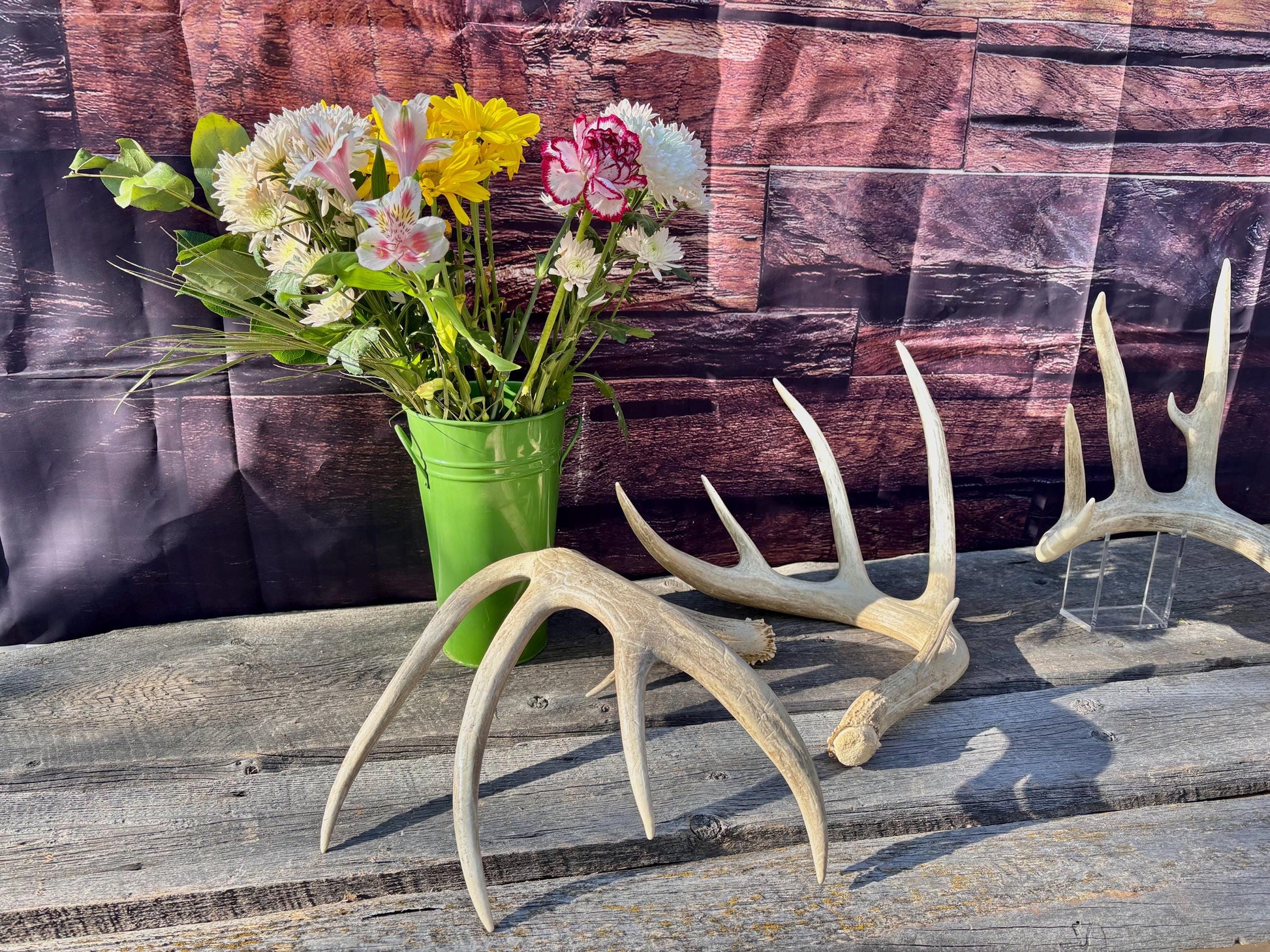 4 Deer Antlers - 2 Matched Sets From the Same Deer. Insane Mass. Super Heavy Whitetailed deer