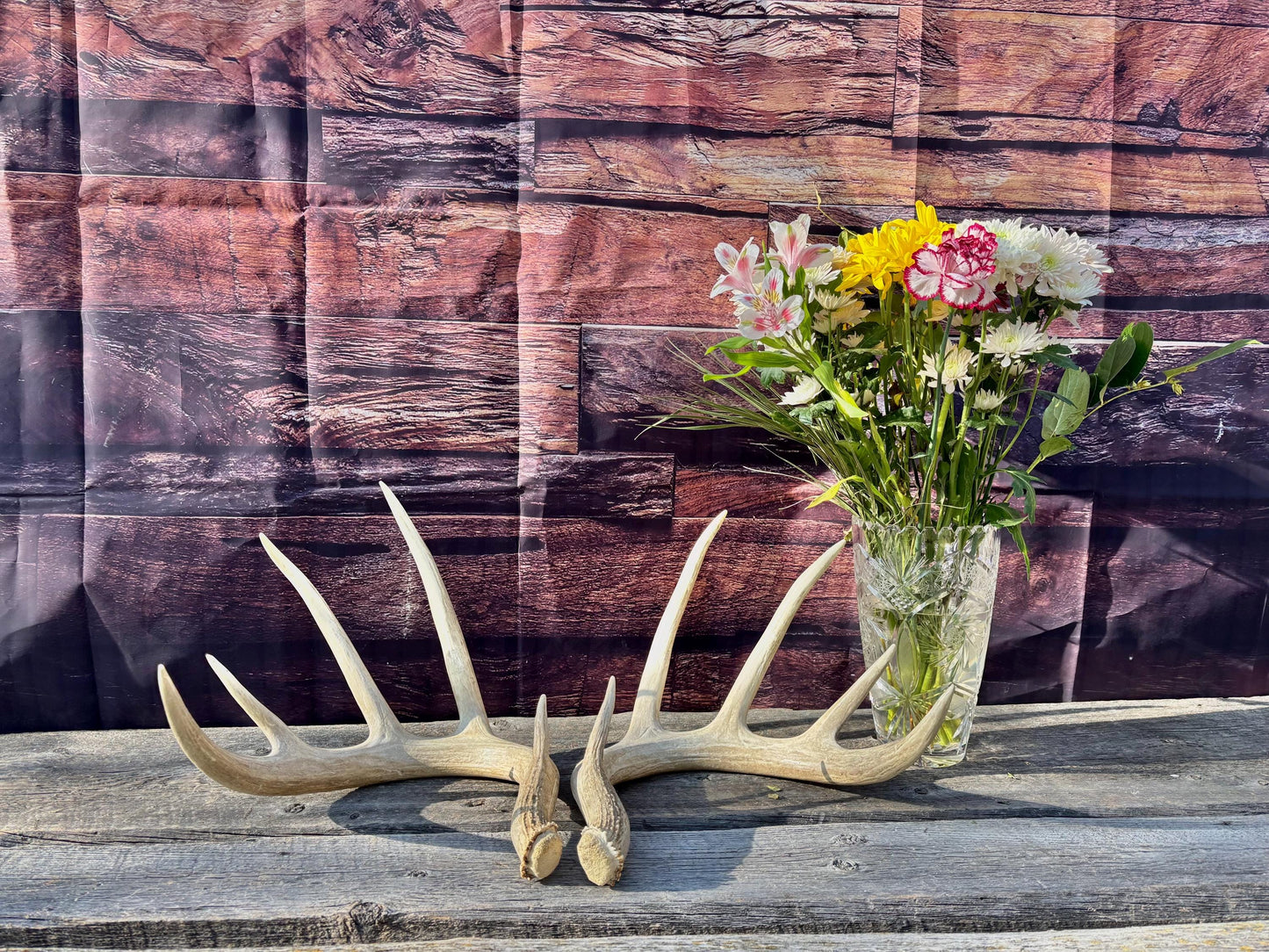 4 Deer Antlers - 2 Matched Sets From the Same Deer. Insane Mass. Super Heavy Whitetailed deer