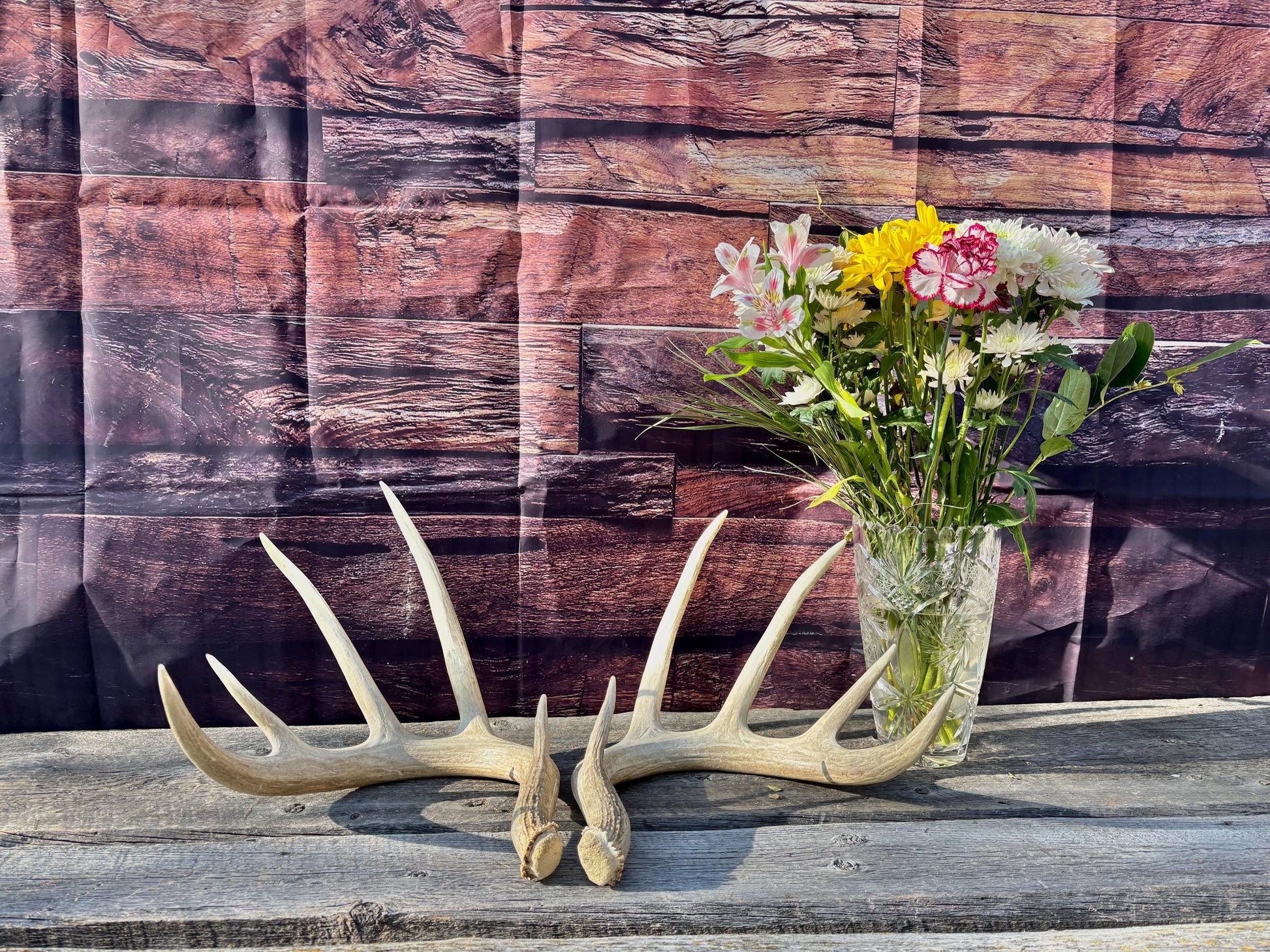 4 Deer Antlers - 2 Matched Sets From the Same Deer. Insane Mass. Super Heavy Whitetailed deer