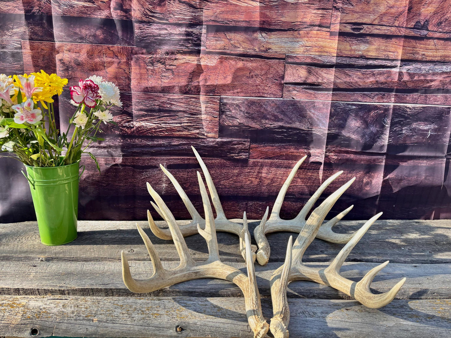 4 Deer Antlers - 2 Matched Sets From the Same Deer. Insane Mass. Super Heavy Whitetailed deer