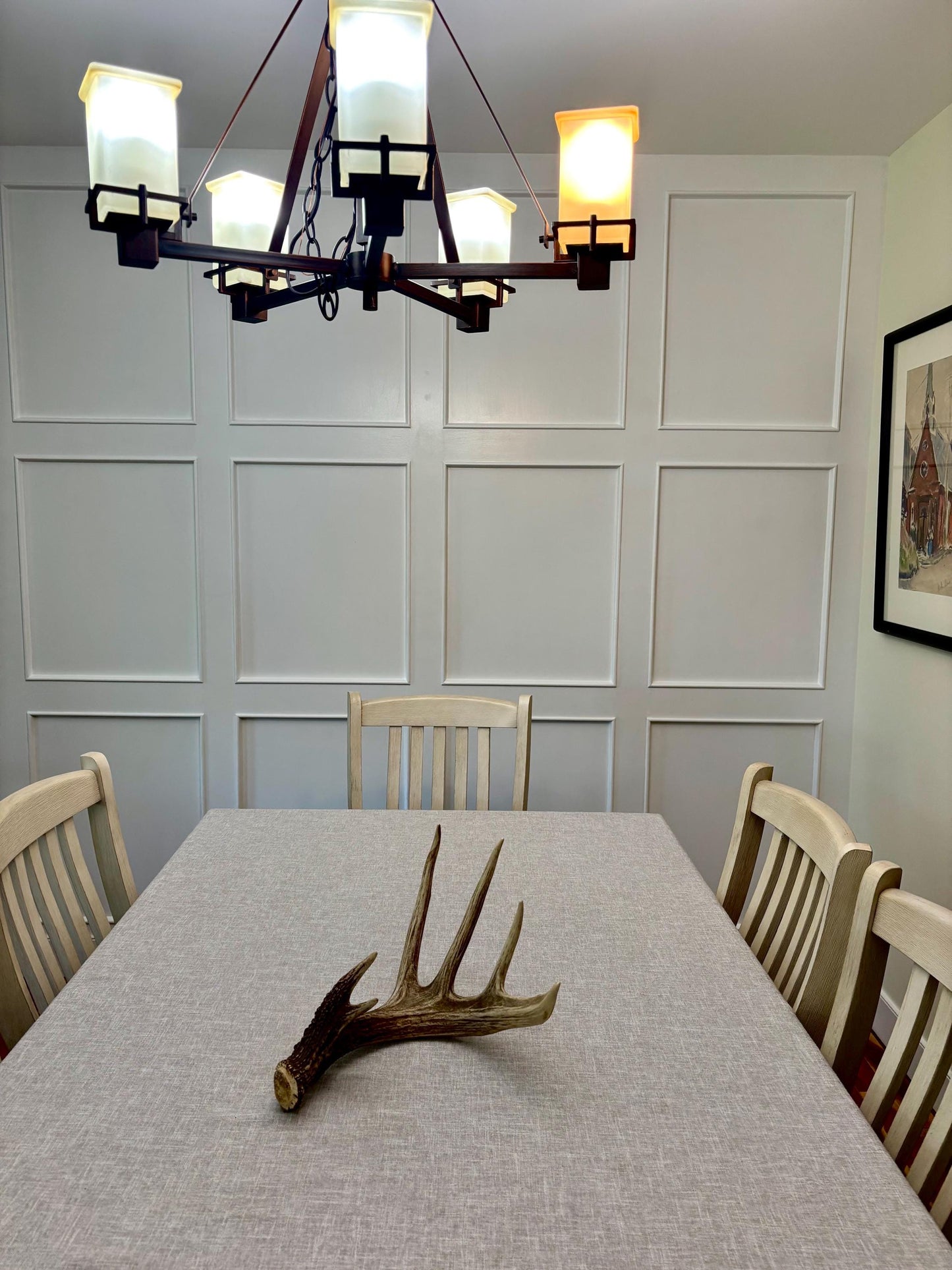 Incredible White-tailed deer Antler. Large single deer shed for decor, design, crafting and more!