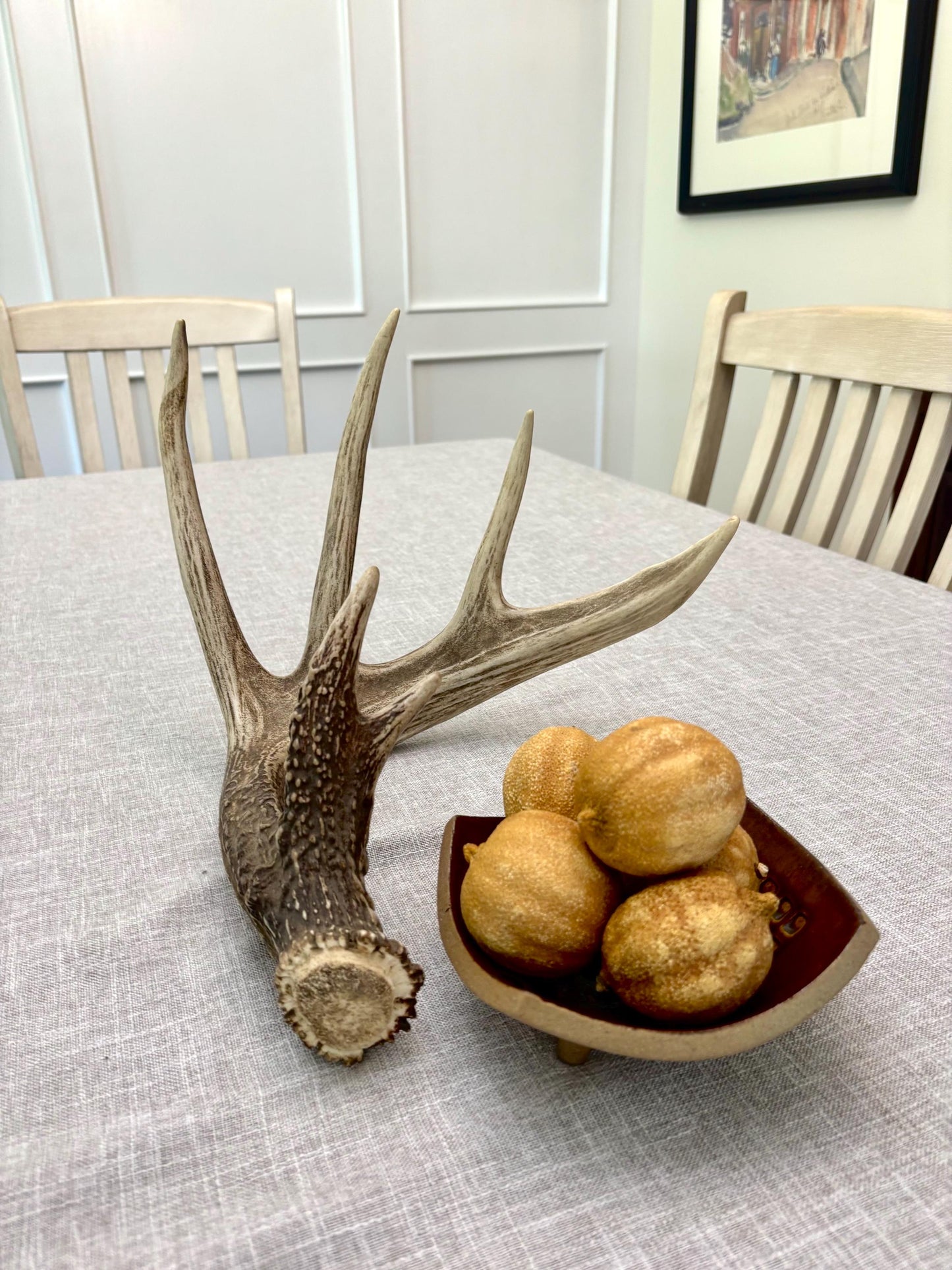 Incredible White-tailed deer Antler. Large single deer shed for decor, design, crafting and more!