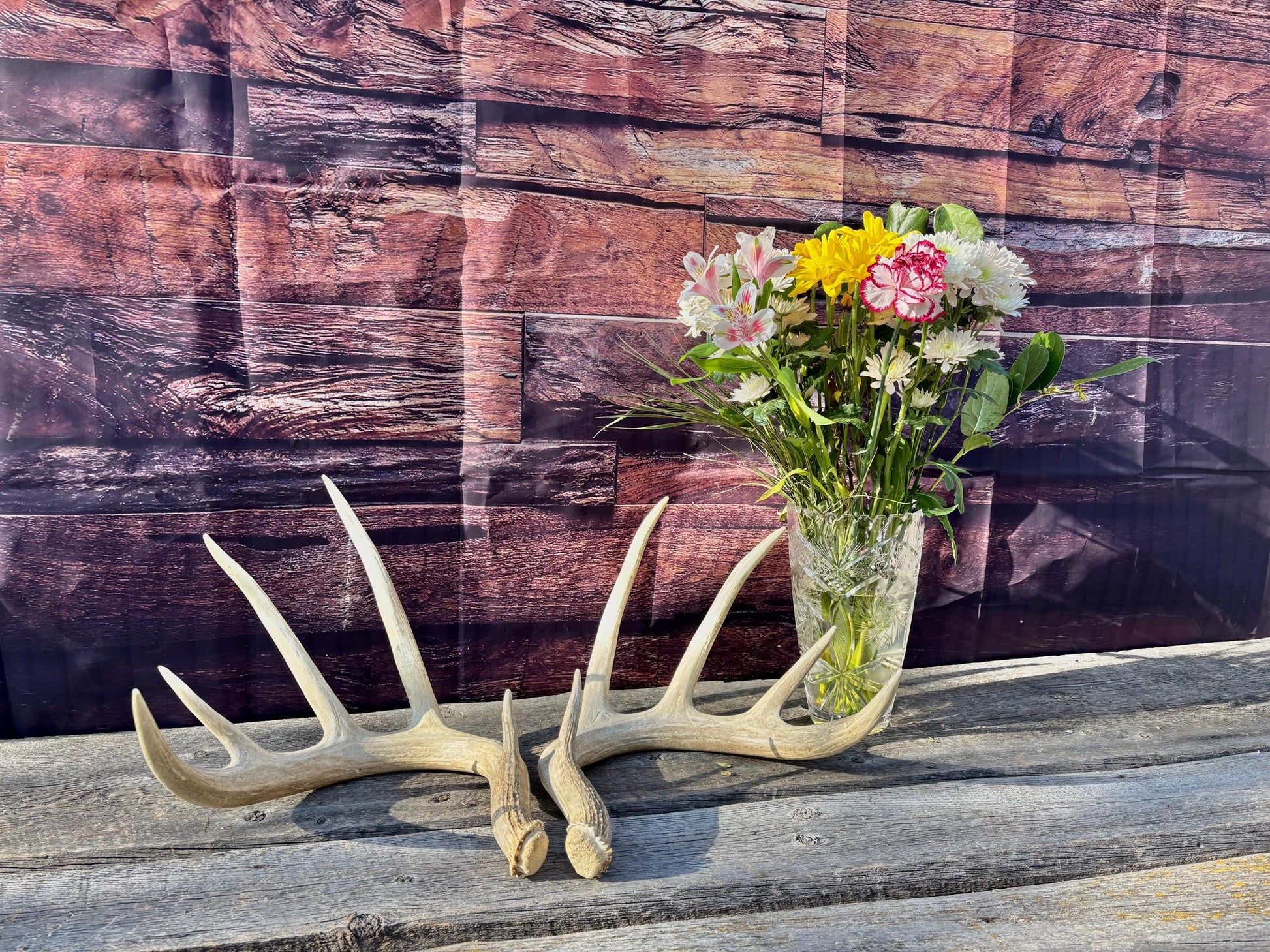 4 Deer Antlers - 2 Matched Sets From the Same Deer. Insane Mass. Super Heavy Whitetailed deer