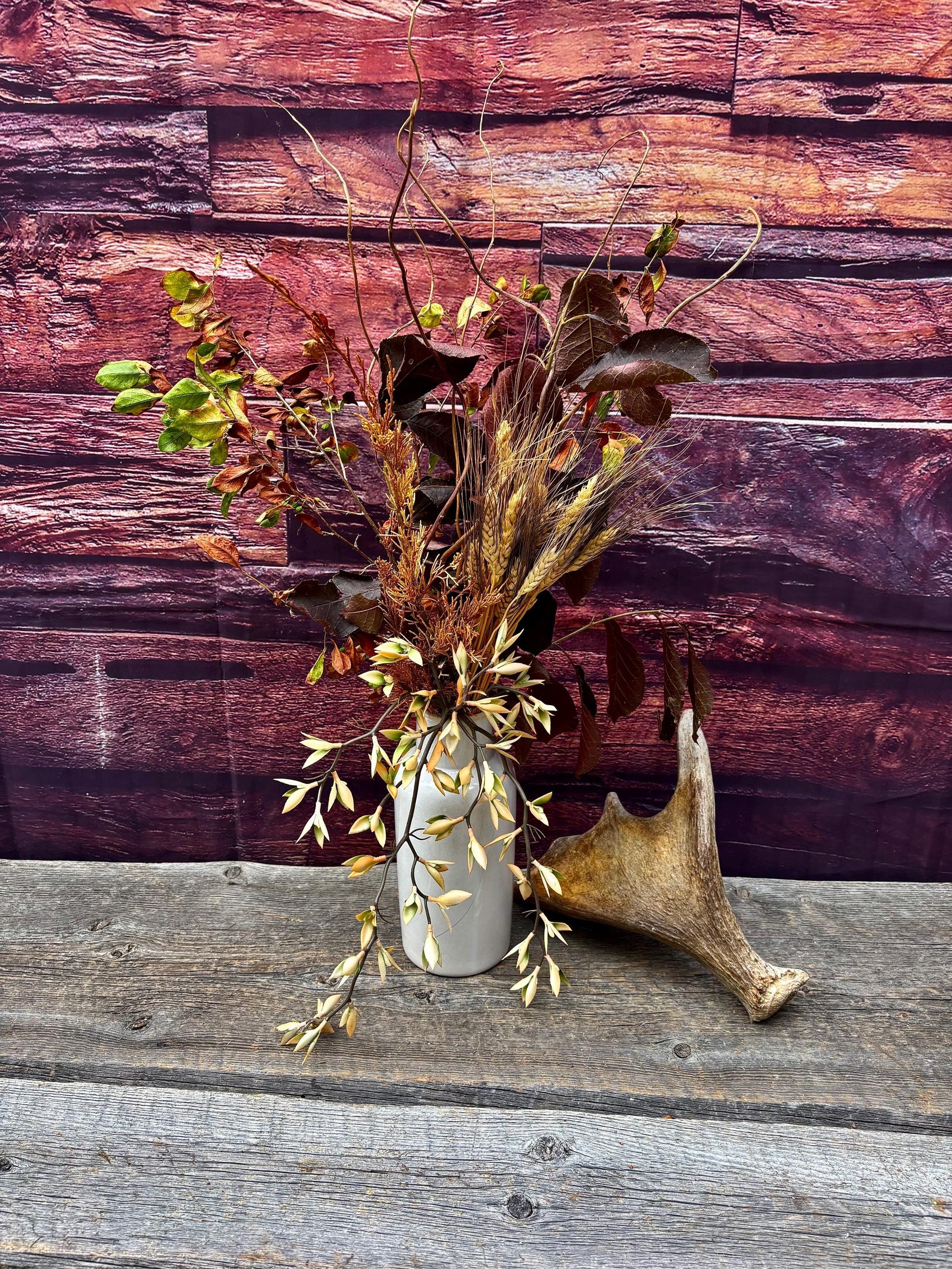 Old Moose Antler. For crafting, decor and more