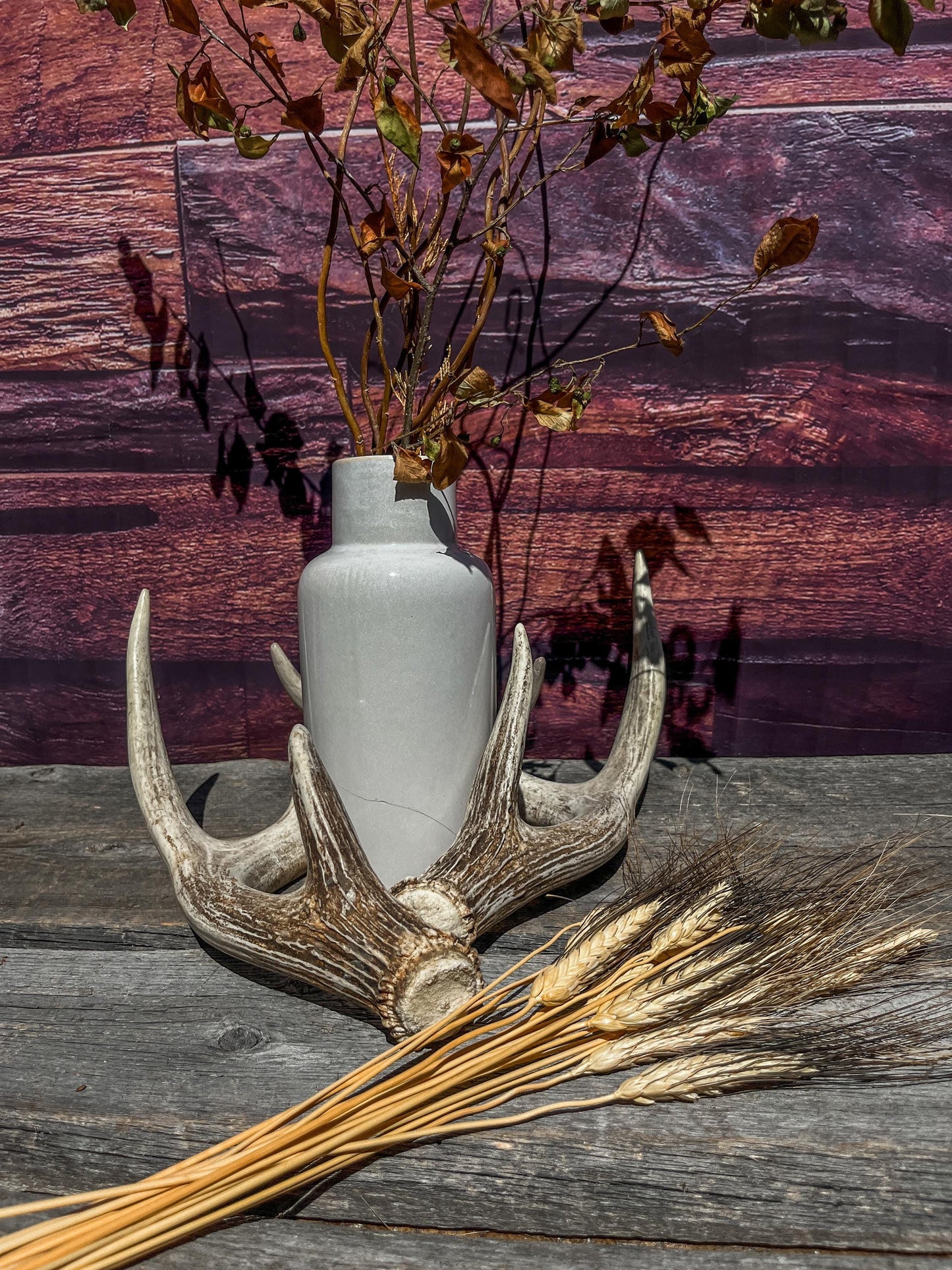 Matching Deer Antlers - White-Tailed Deer Matching set. Wild Canadian Whitetail Buck Antlers.