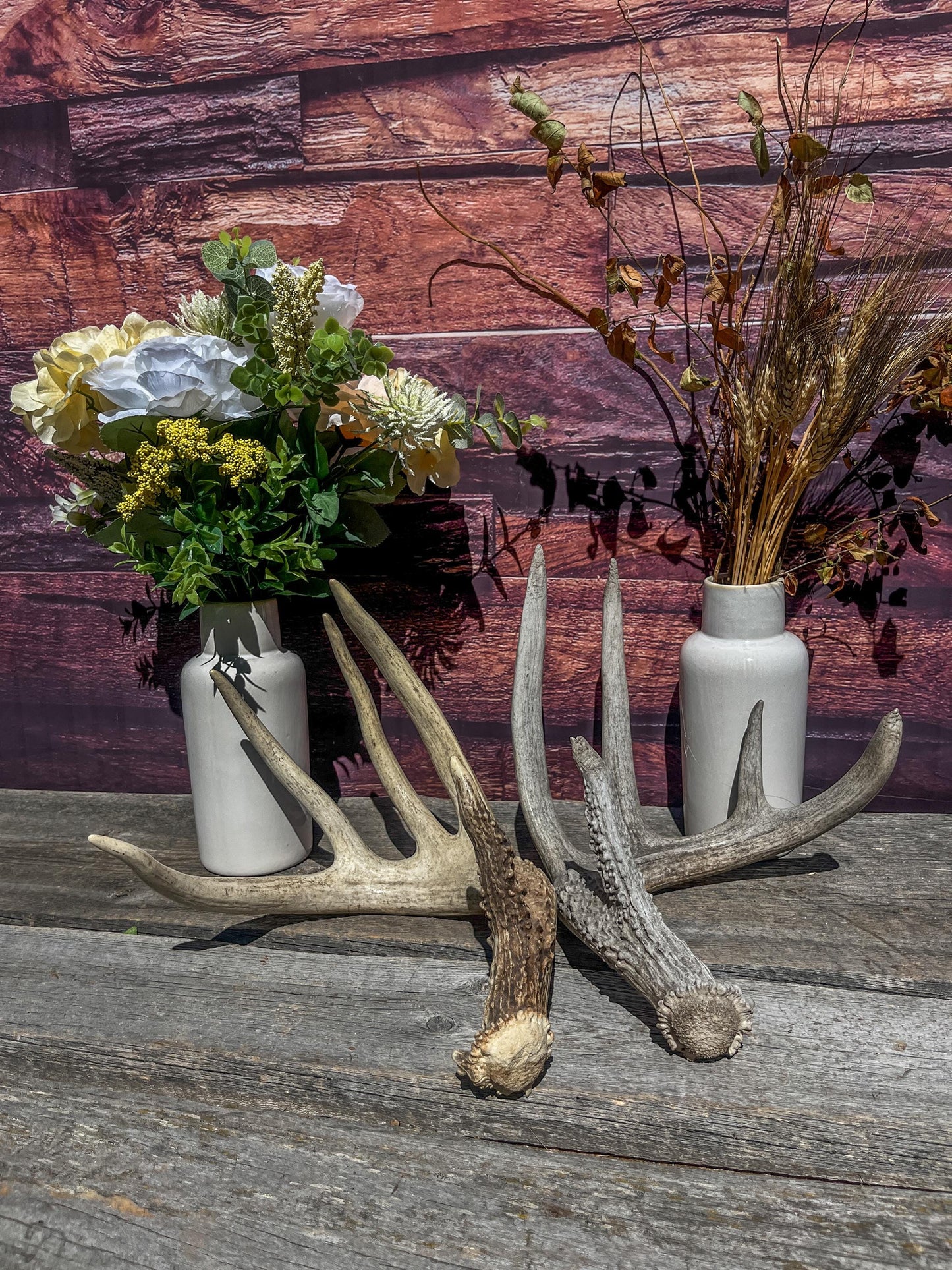 White-tailed Deer Matching Set. (Found at different times). For Decor, Crafting and More