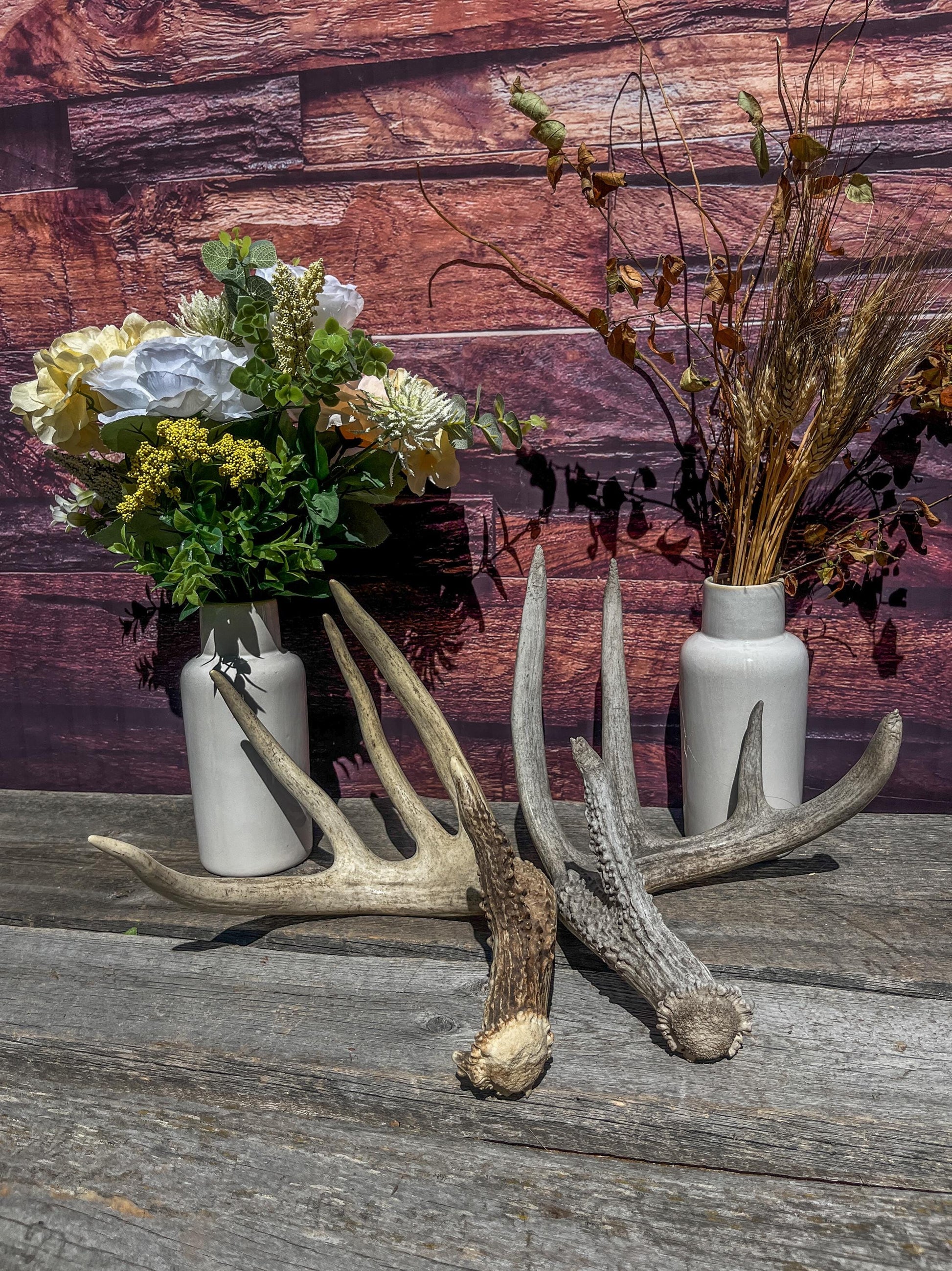 White-tailed Deer Matching Set. (Found at different times). For Decor, Crafting and More