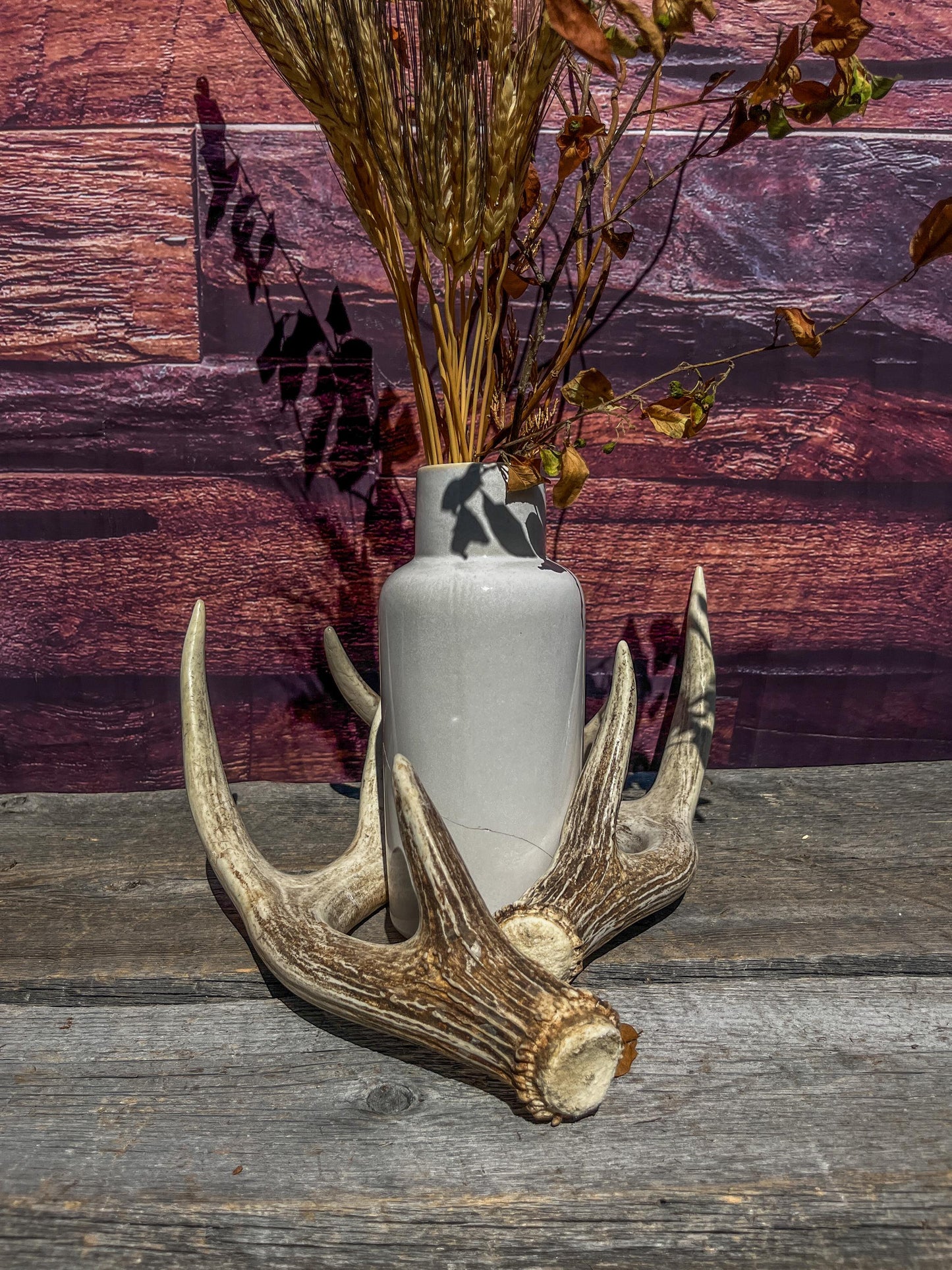 Matching Deer Antlers - White-Tailed Deer Matching set. Wild Canadian Whitetail Buck Antlers.