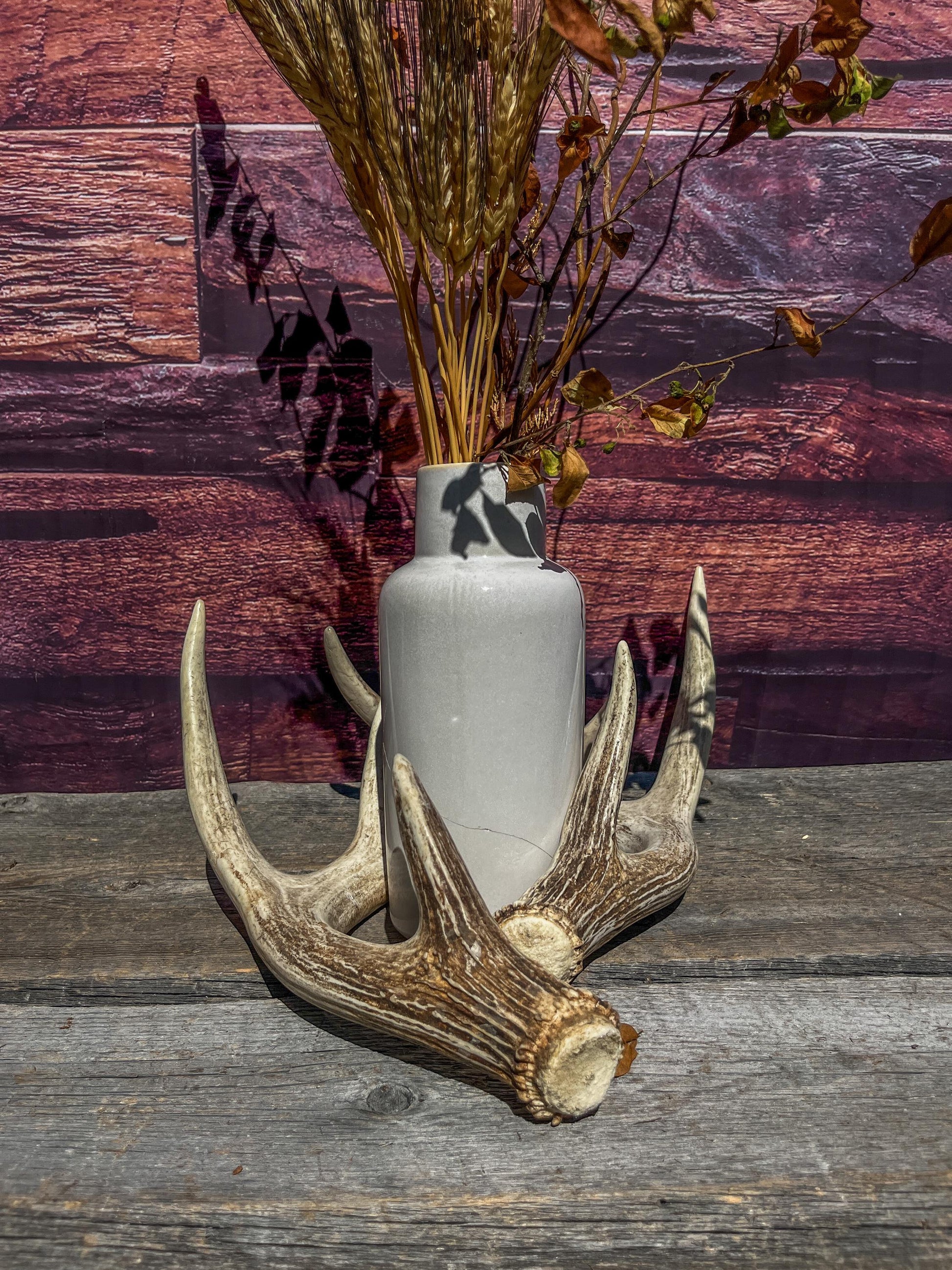 Matching Deer Antlers - White-Tailed Deer Matching set. Wild Canadian Whitetail Buck Antlers.