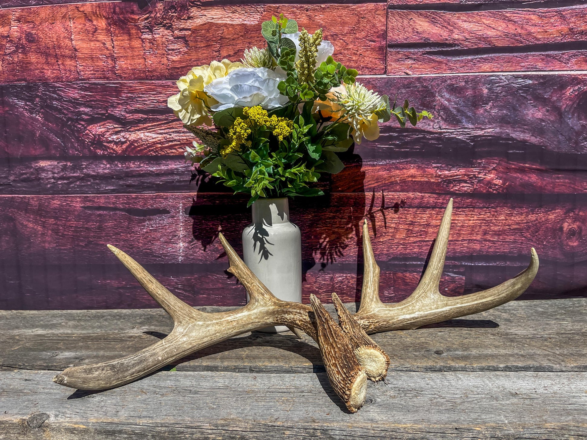 Deer Antlers - White-tailed Deer Matching set. Canadian Buck. Crafting and Decor Antlers