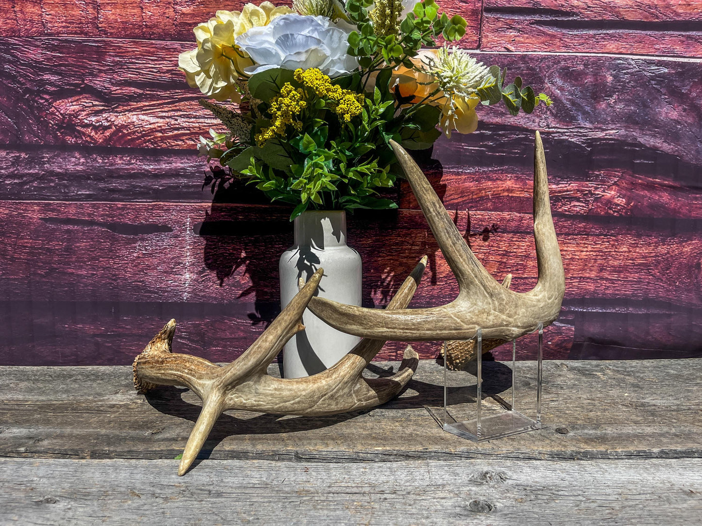 Deer Antlers - White-tailed Deer Matching set. Canadian Buck. Crafting and Decor Antlers