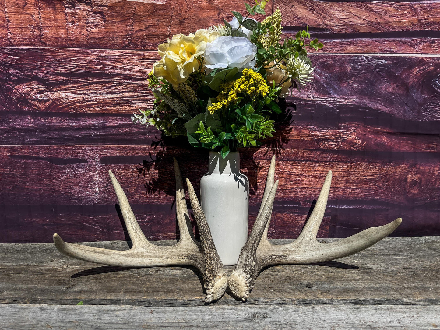 Matched Heavy Shed Antler Set From a Mature White-tail Buck. Premium Crafting & Farmhouse Decor