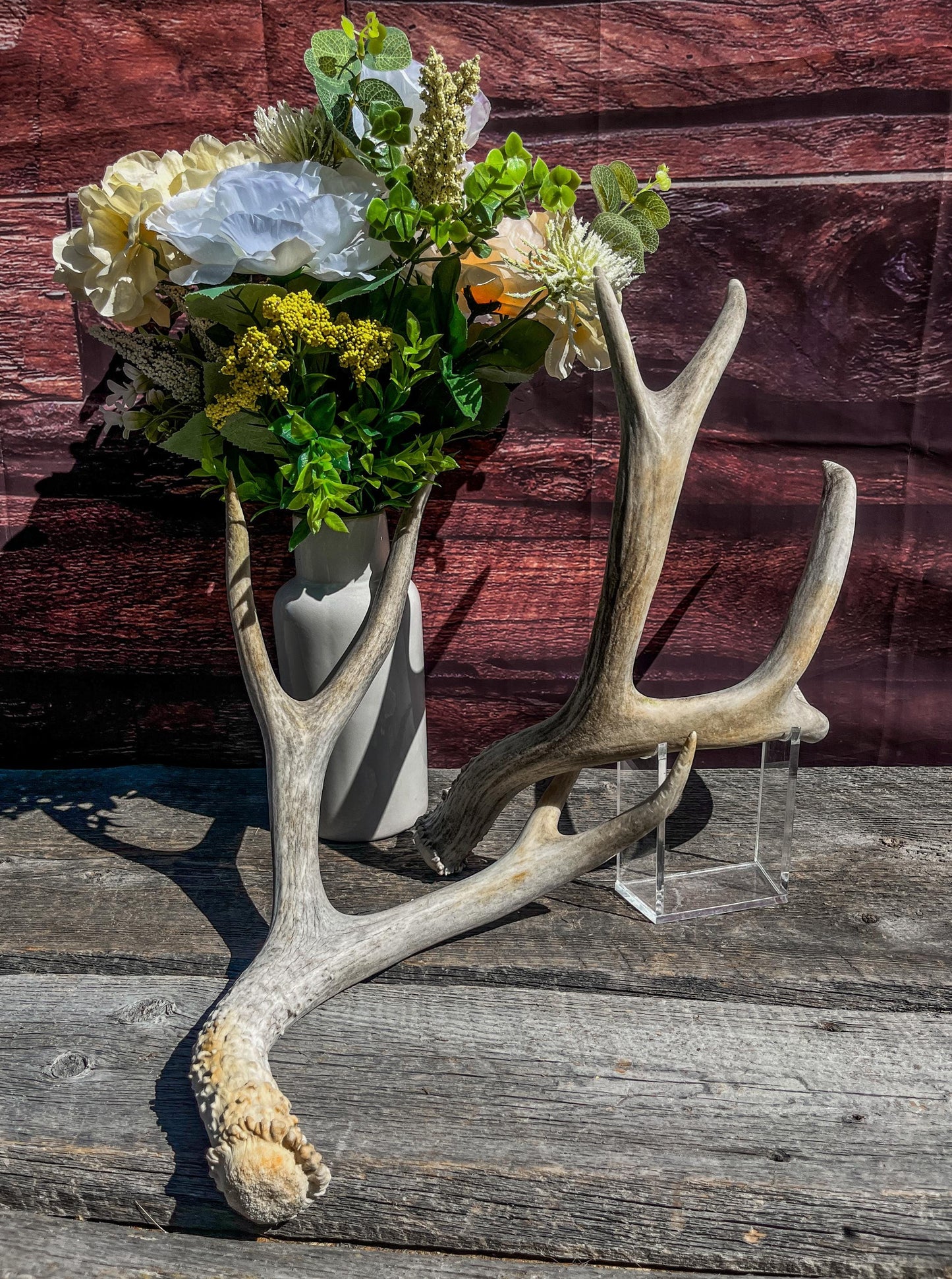 Matching Mule Deer Antler Set. For Decor. Wild, Naturally Shed, Canadian Deer Antler set.