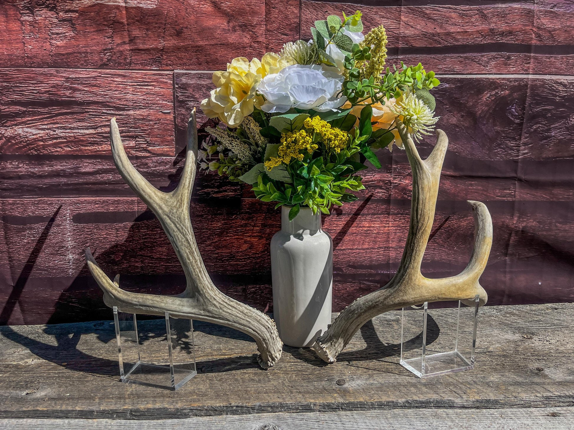Matching Mule Deer Antler Set. For Decor. Wild, Naturally Shed, Canadian Deer Antler set.