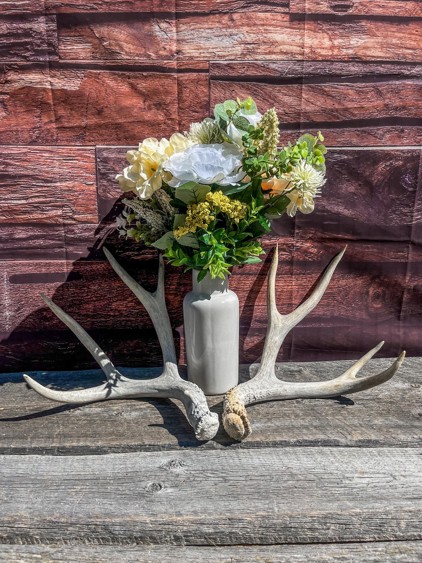 Matching Mule Deer Antler Set. For Decor. Wild, Naturally Shed, Canadian Deer Antler set.