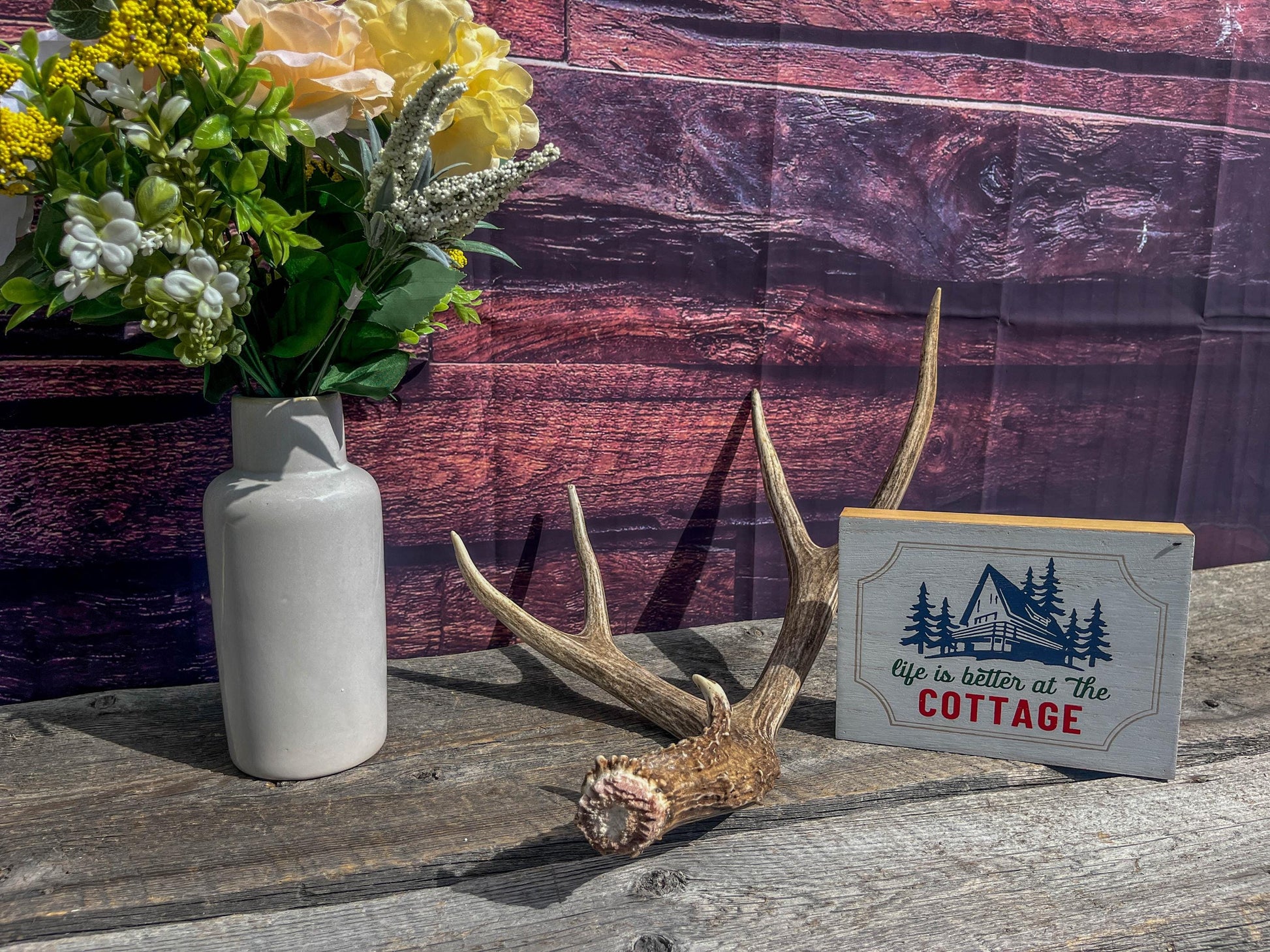 Classic Mule Deer Antler. Extremely fresh find. Home Decoration & Interior Design, Holidays, and more.